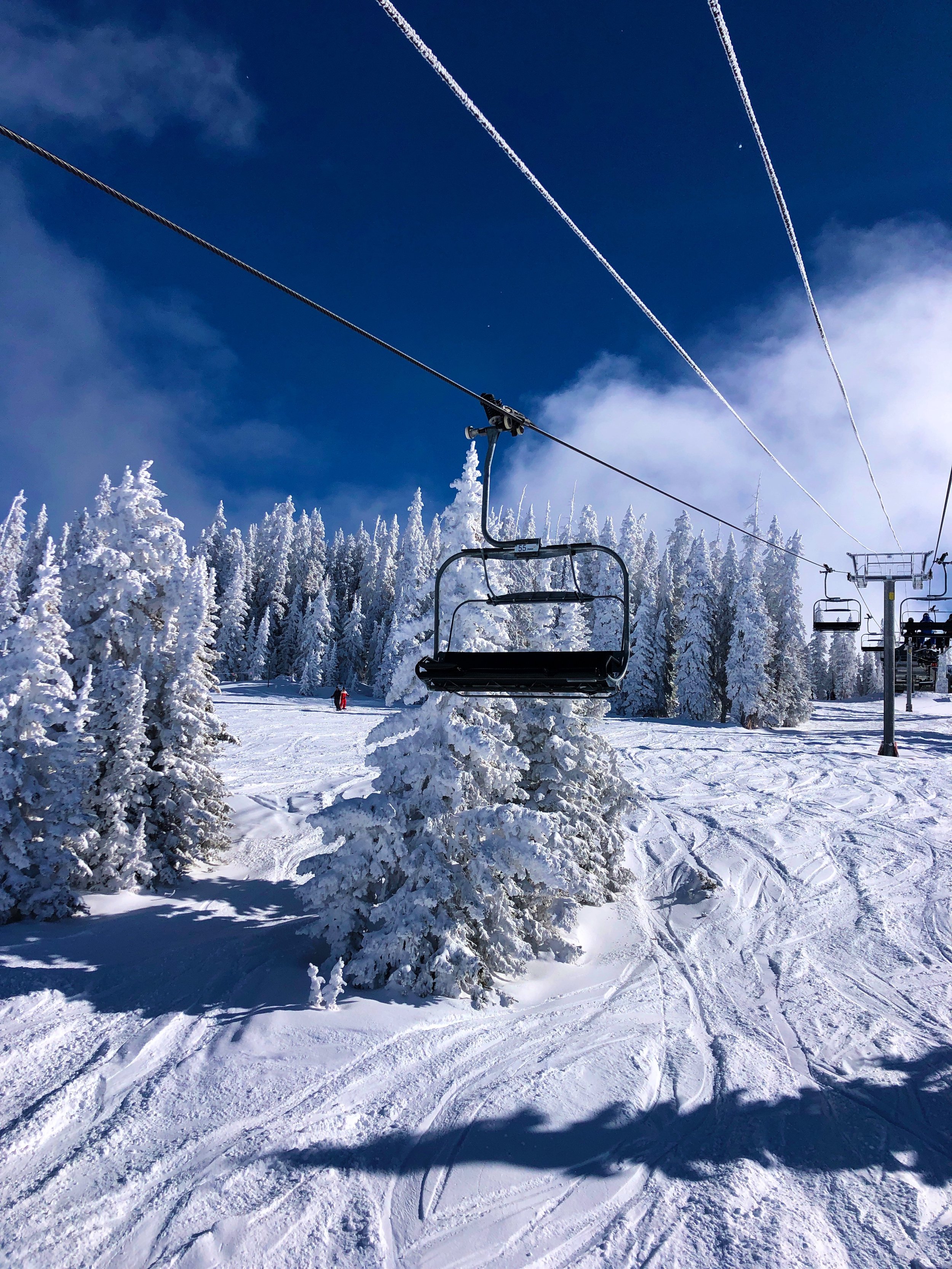 Vail Trees Ski Lift.jpg