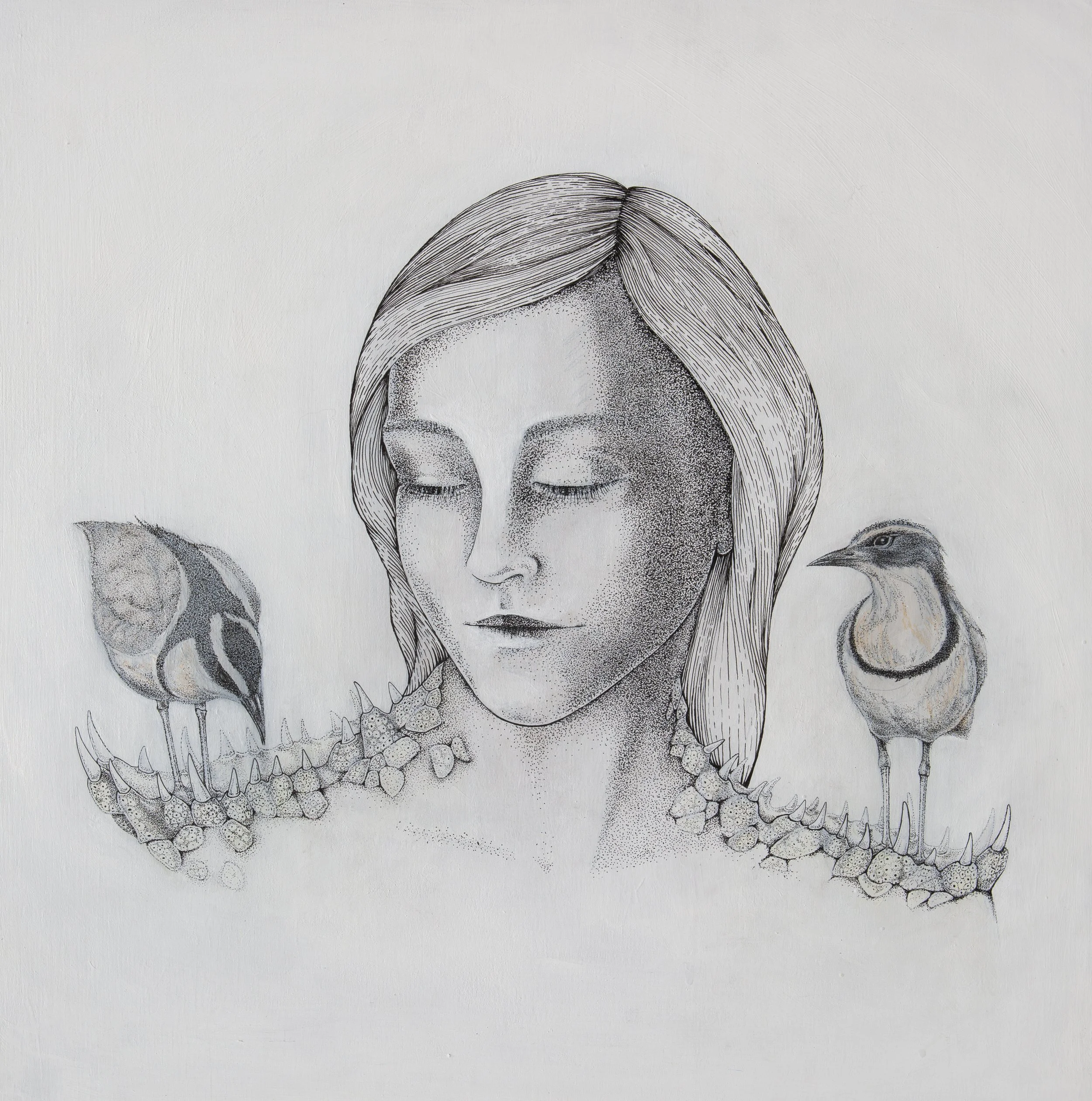 Kate Hohn crocodile&plovers.jpg