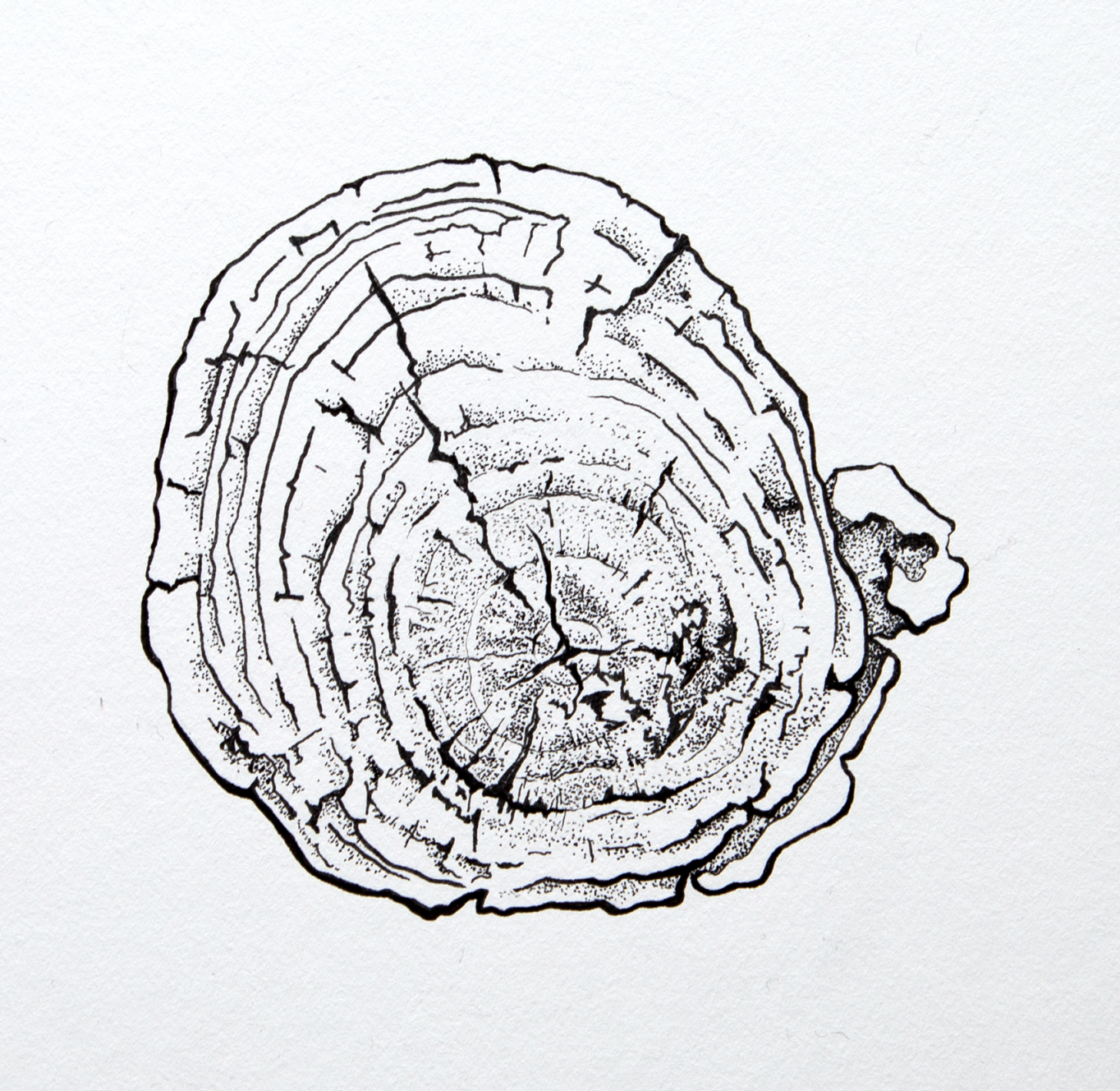 Screen Shot 2026-03-22 at 11.25.15 AM.png