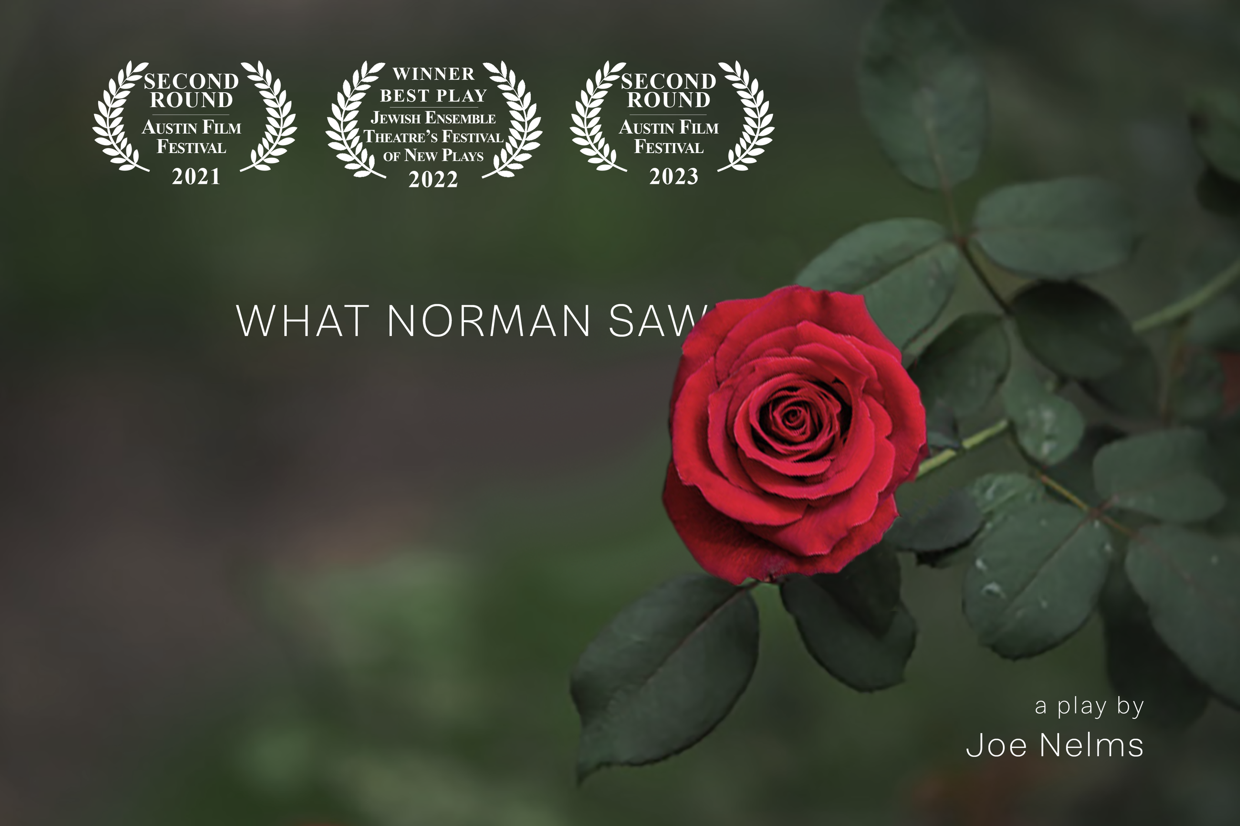 Joe Nelms Writer – What Norman Saw Play.png
