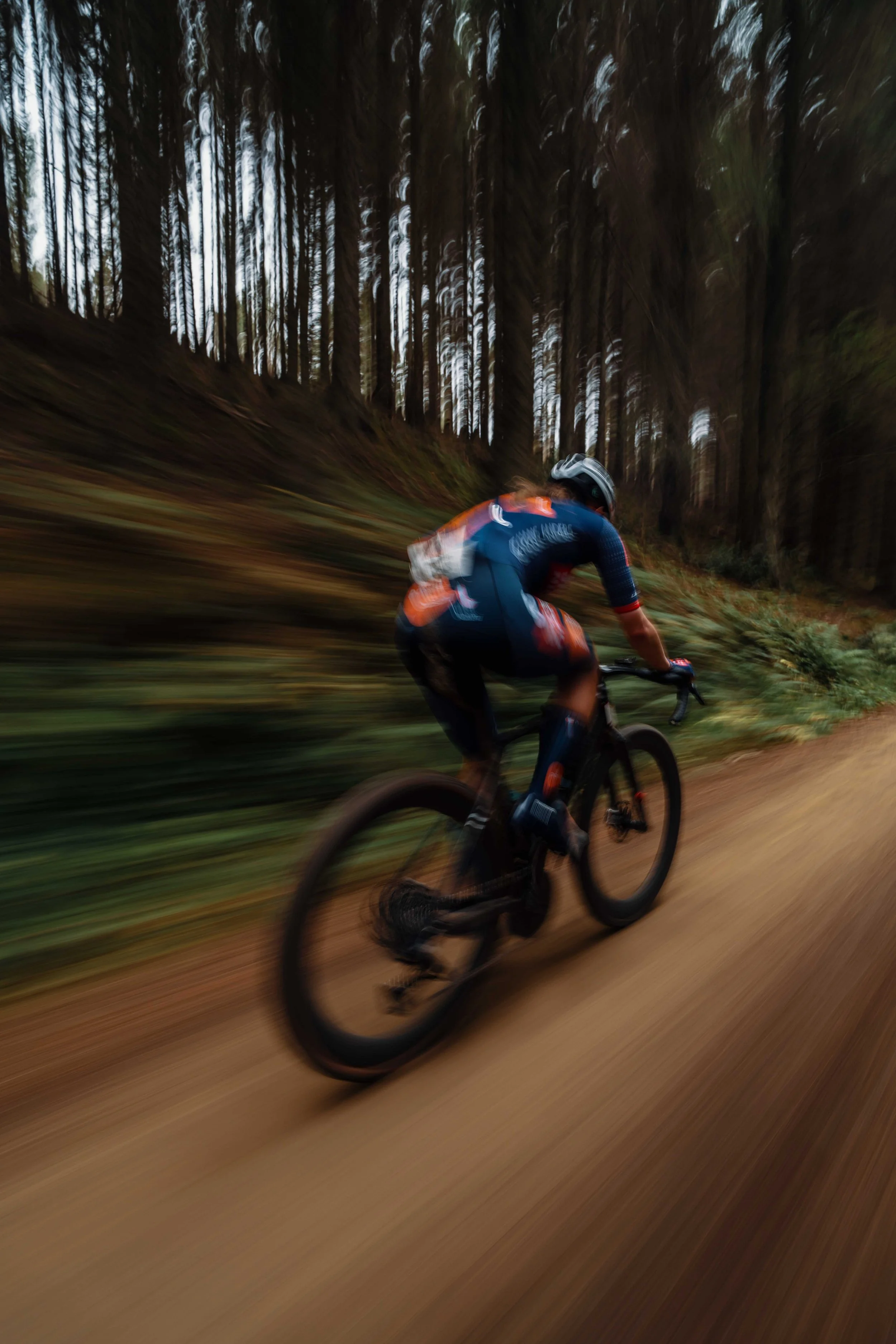 A person riding a mountain bike on a dirt trail through a forest with tall trees, in motion blur.