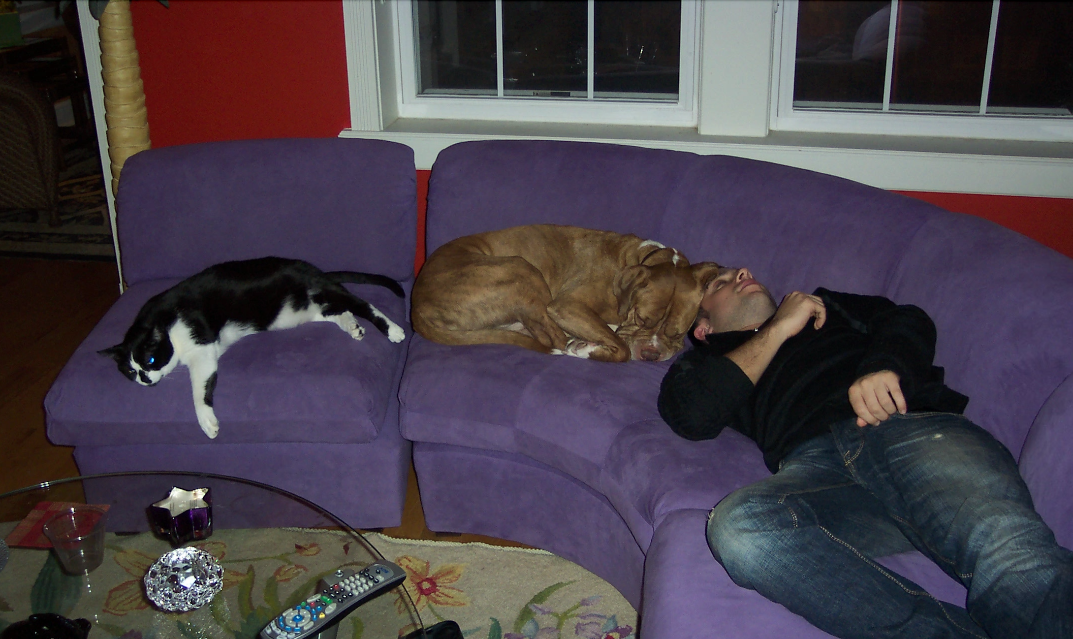 Thanksgiving, The Curse &amp; the Coma