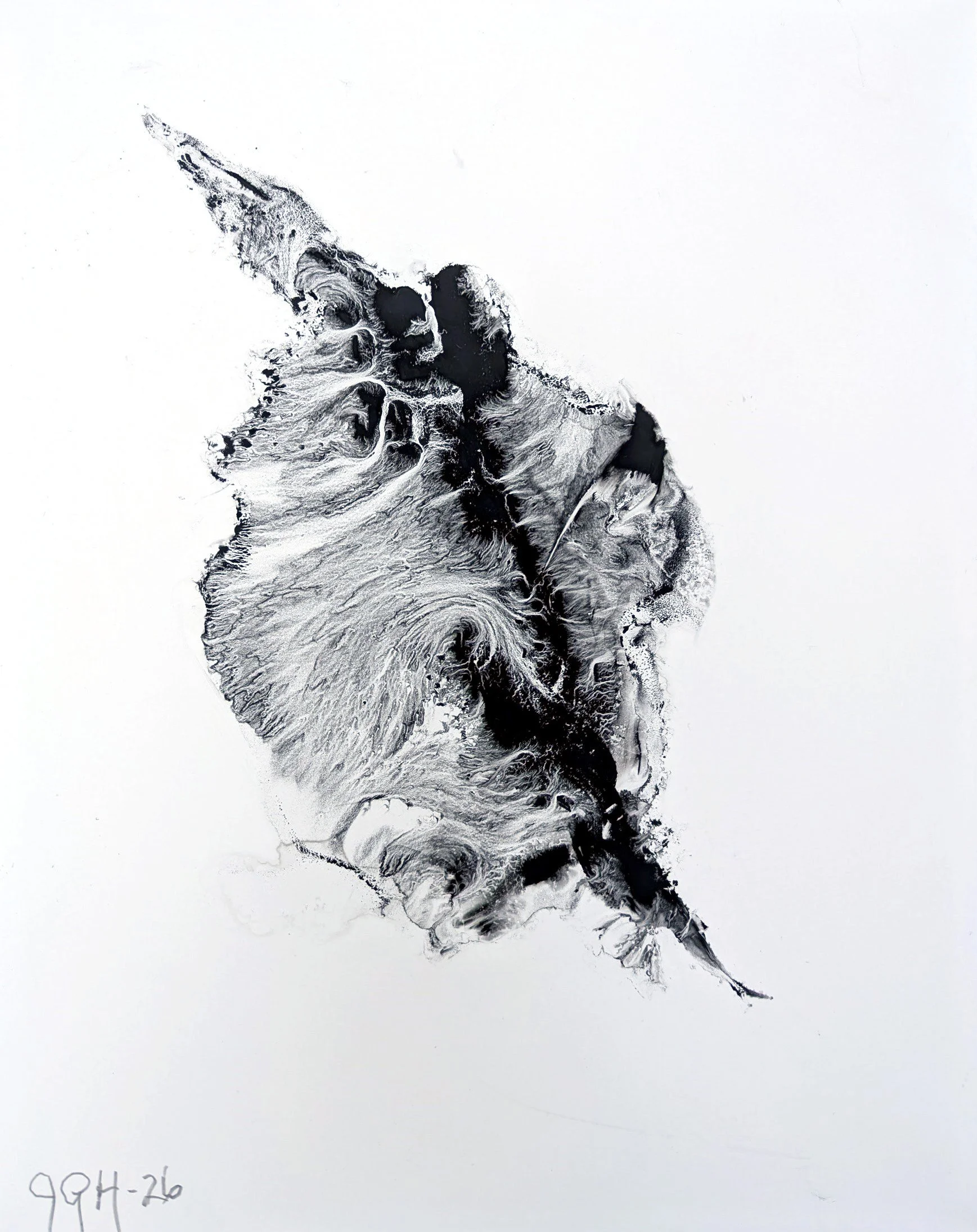 Conch
11" x 14"