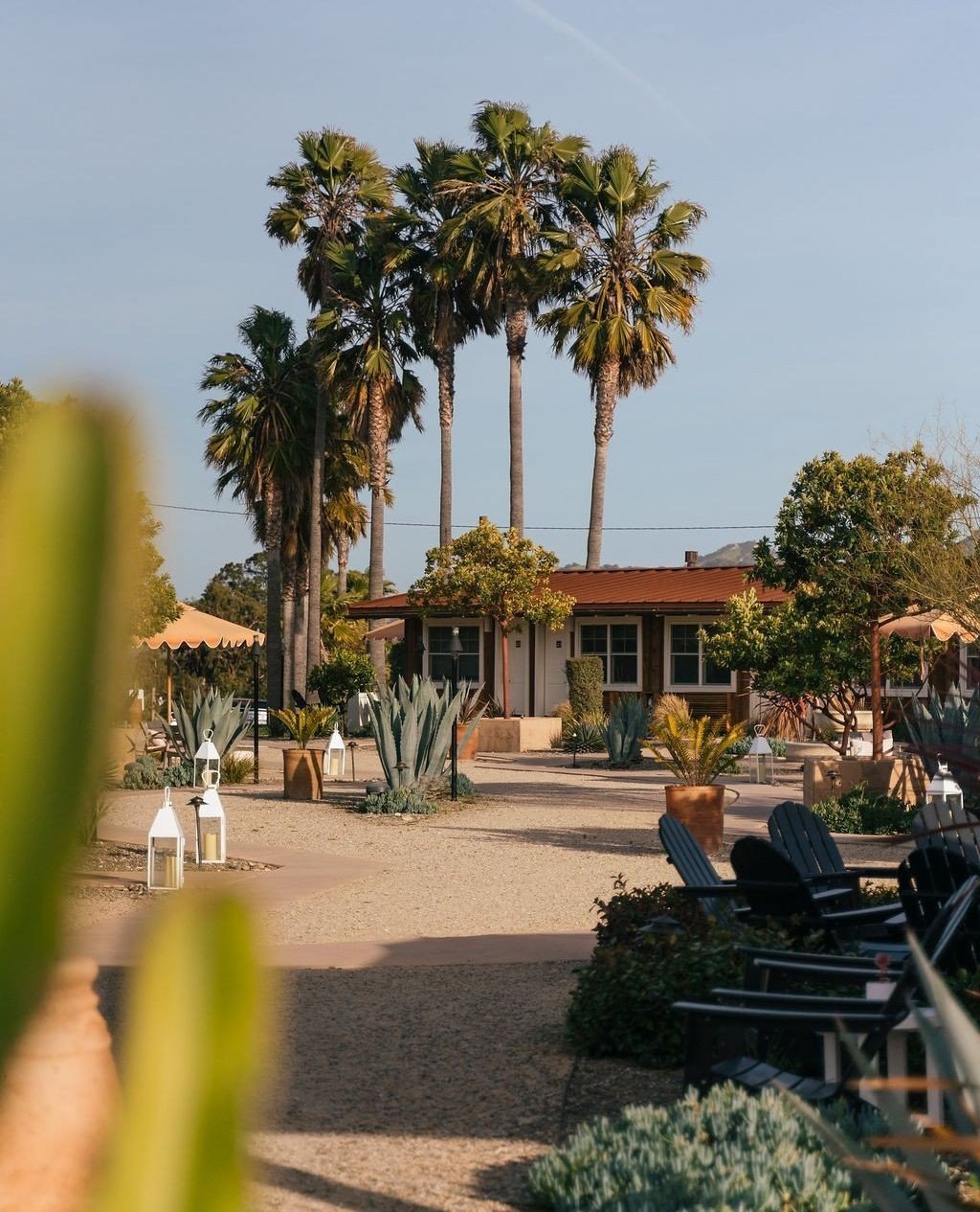 ⁠
Aw, shucks! Skyview (and a few of our favorite neighborhood spots) made @thequalityedit's 48-hour guide to @visitsyv ⁠ 🗯️: &quot;This old school motel feels refined as soon as you make your way onto the beautifully landscaped grounds and look off 