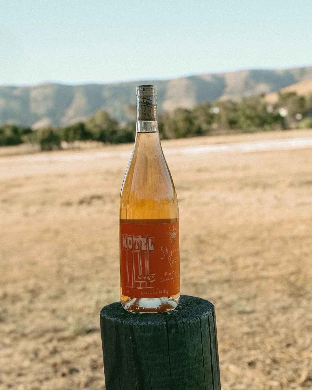 There&rsquo;s a sweet spot between the seasons, where summer lingers and harvest begins. Time slows down, the days glow golden, and magic fills the air.⁠
⁠
Since 2018, we&rsquo;ve been working with winemakers Mikey &amp; Gina Giugni to bottle that dr