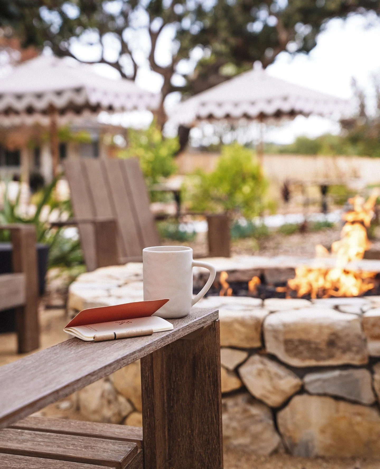 Have a cup of cheer. Hot teas from the Rishi holiday collection are served all season long in every Nomada hotel lounge 〰️ ⁠