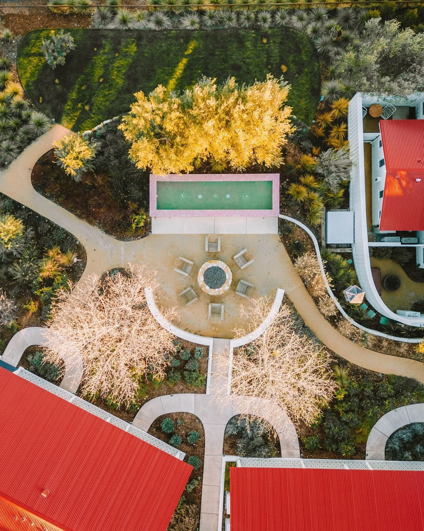 Fly by @farmhousepaso 🕊️ ⁠
⁠
.⁠
.⁠
.⁠
⁠
Photos: @nikolelynn.s