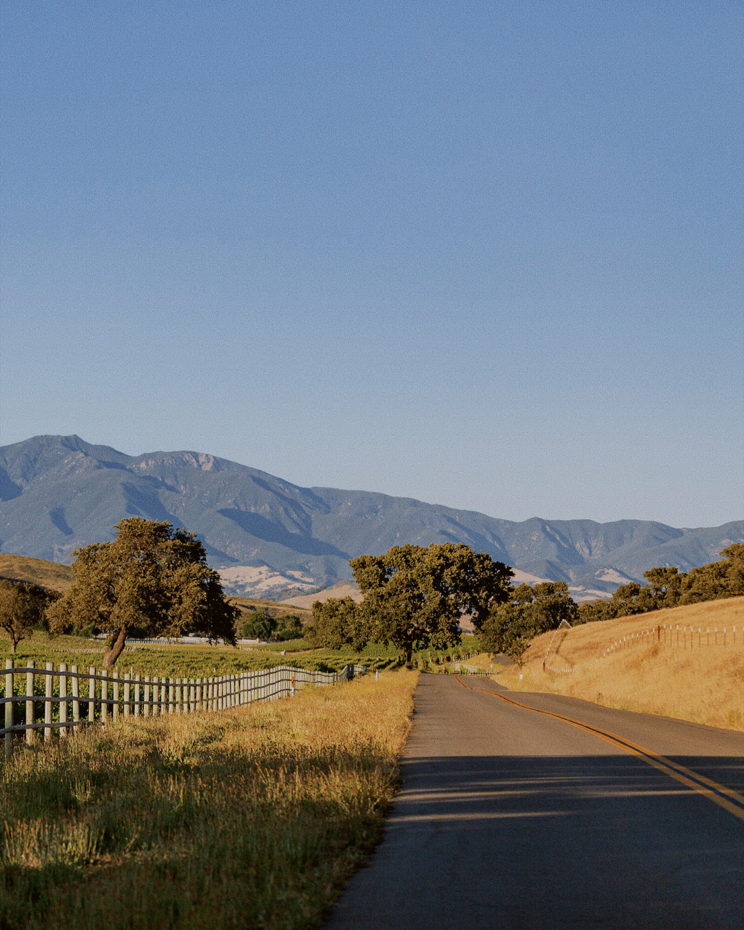 Field Guide: Santa Ynez Valley