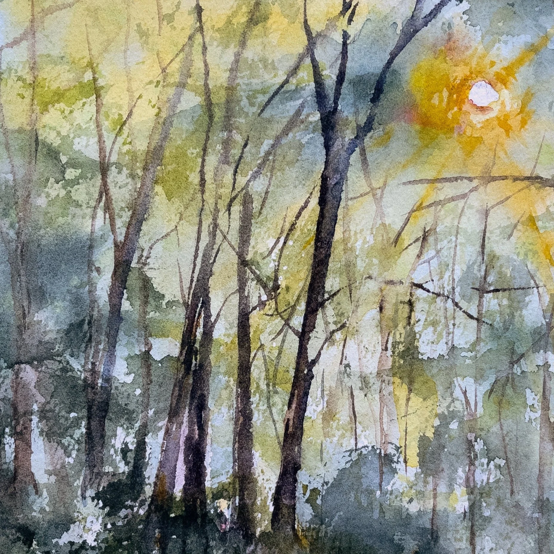 Honeymoon Hollow Road 2, West Virginia