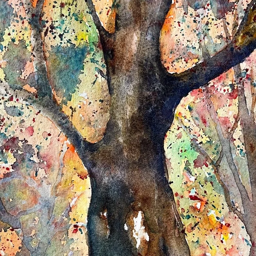 Tress Study 1: Dignity