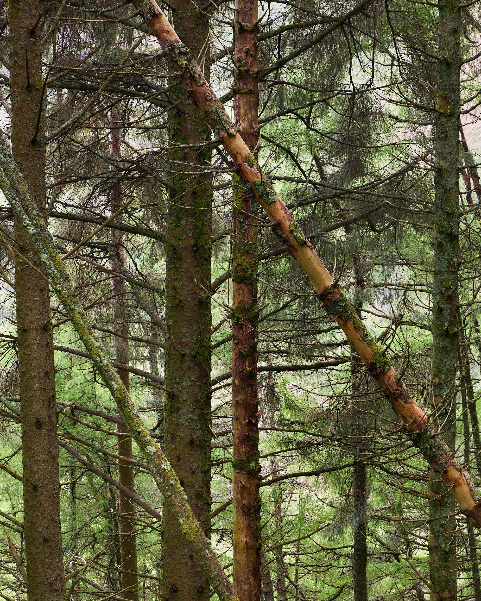 Isle of Mull — Dan Dill Photography