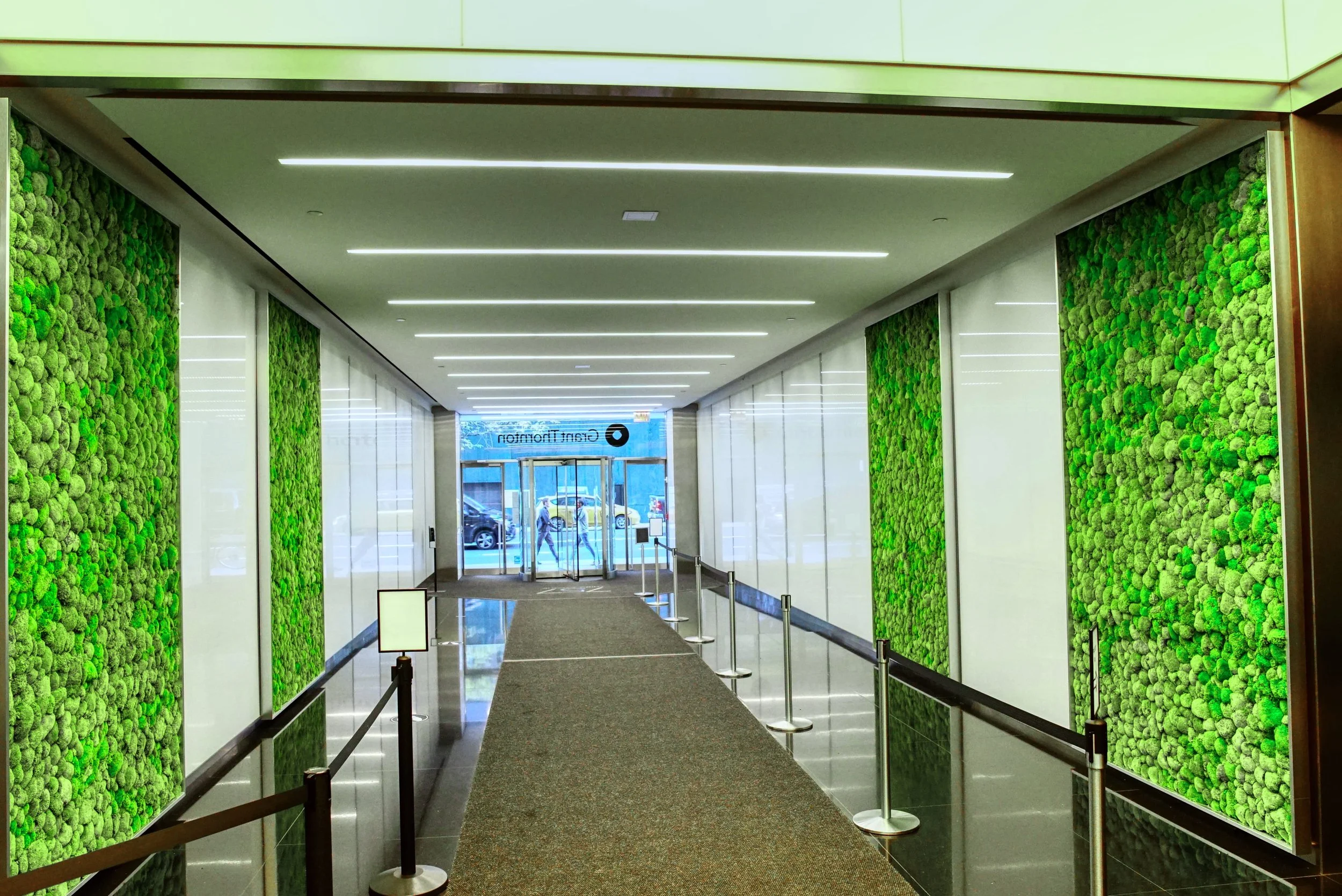 Preserved pole moss panels lining commercial LEED Gold building lobby corridor, 757 Third Avenue, Midtown Manhattan by Urbanstrong