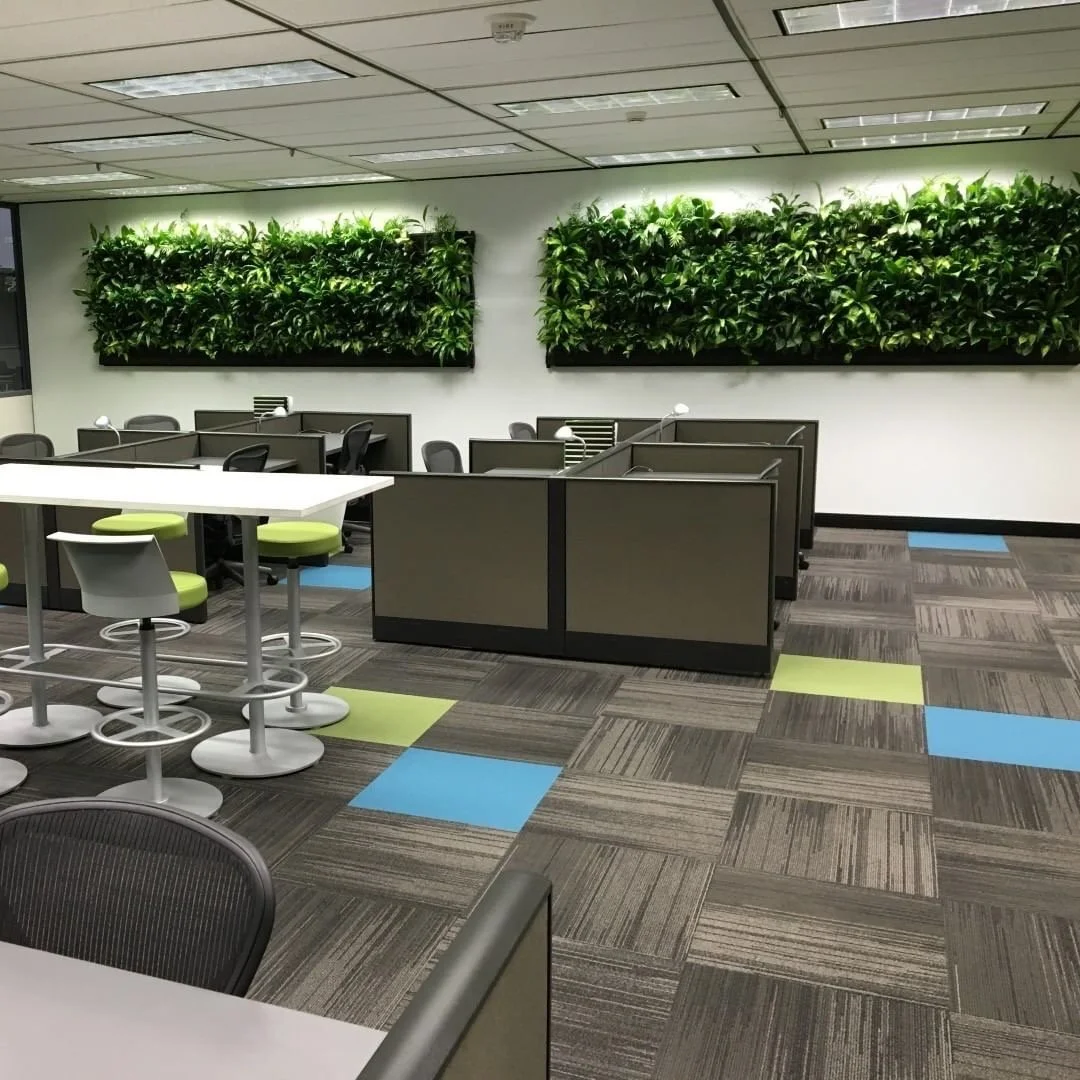 Living Wall Kit III — Urbanstrong