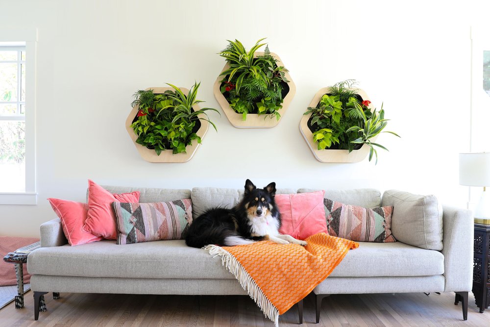 DIY Living Walls for Every Budget and Space — Urbanstrong