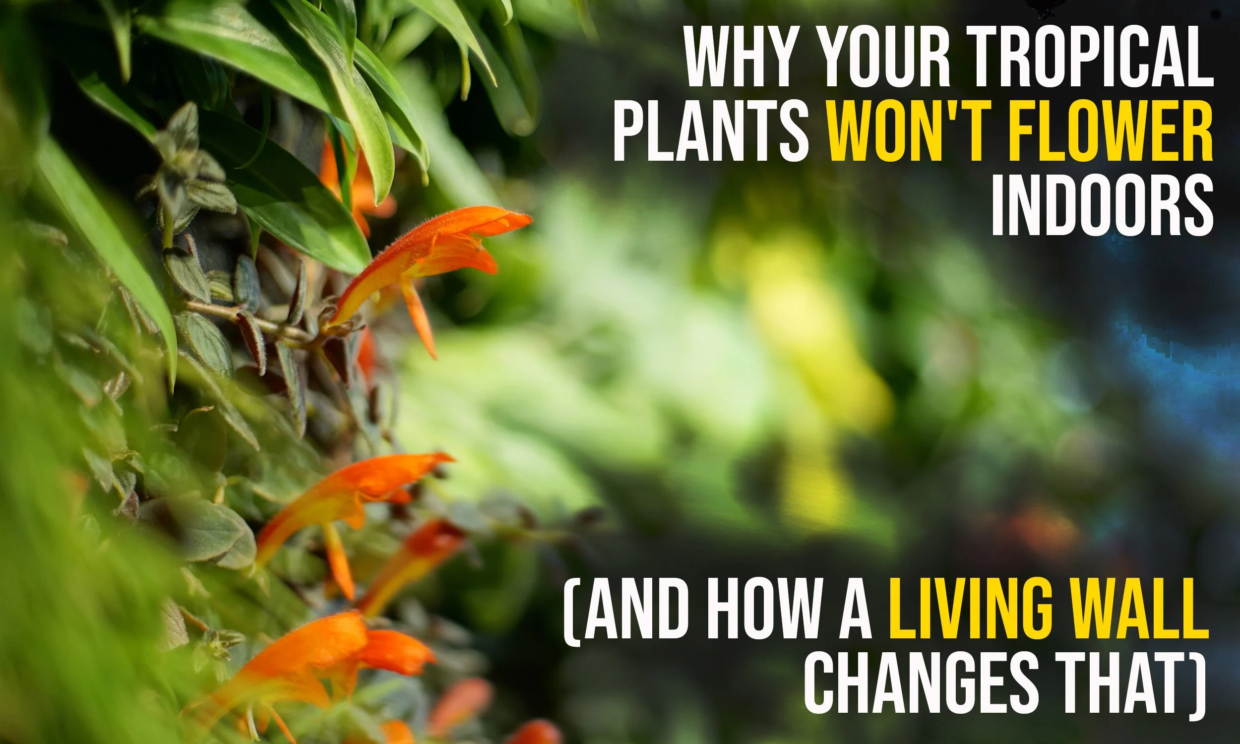 Why Your Tropical Plants Won't Flower Indoors (And How a Living Wall Changes That)