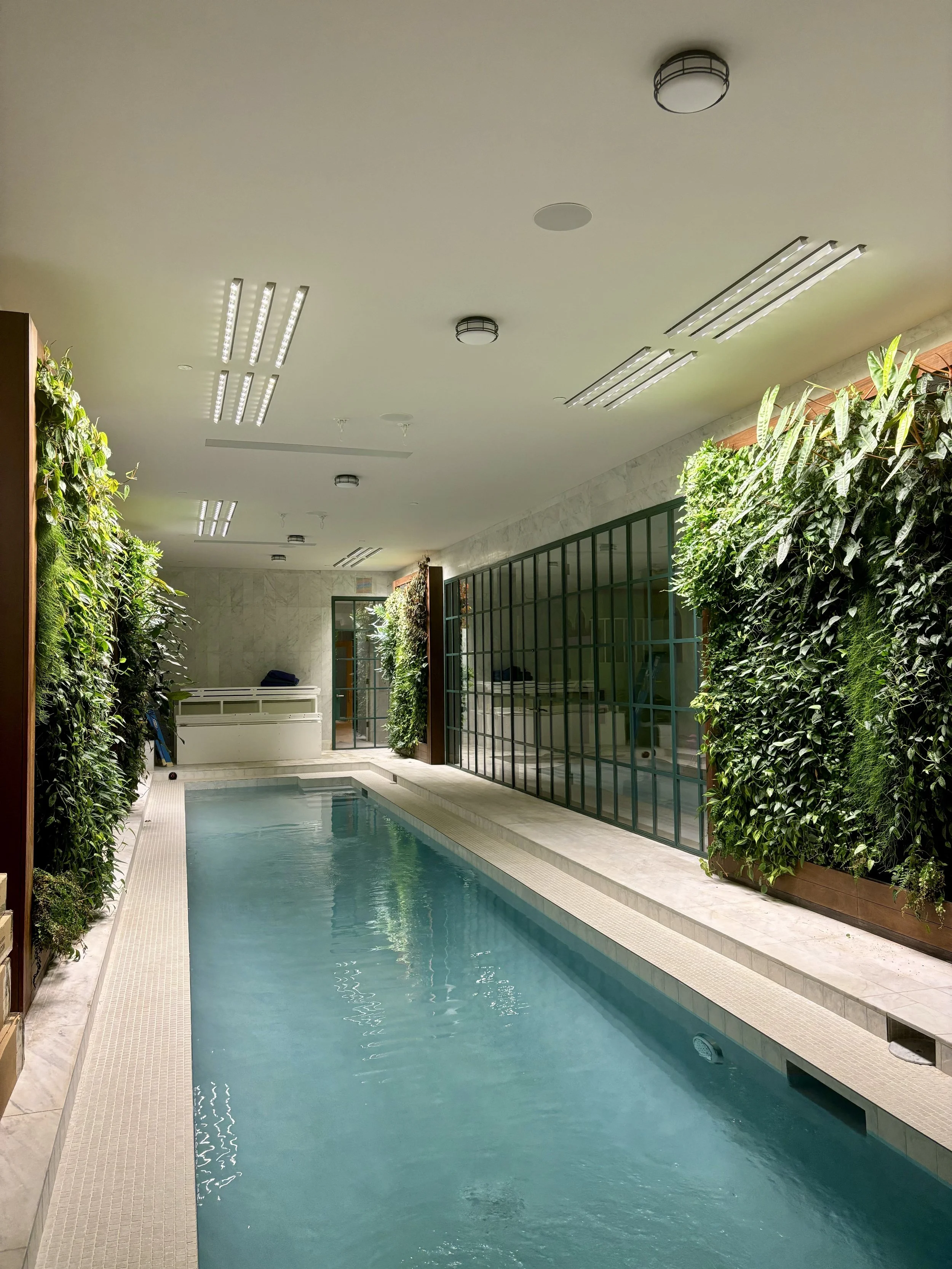Living Green Walls - Design, Build, Maintenance & Installation
