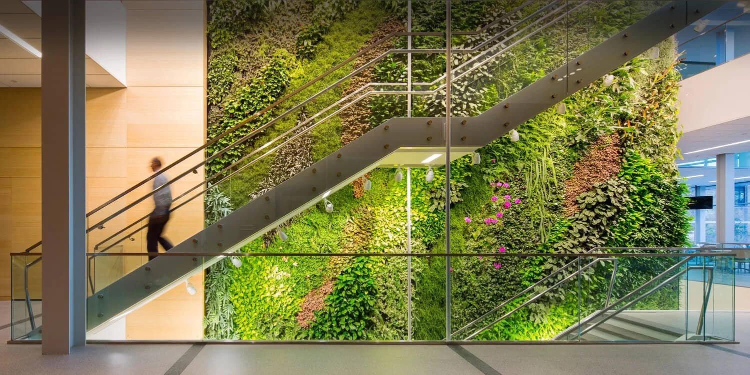 Living Green Walls & Space Dividers Urbanstrong