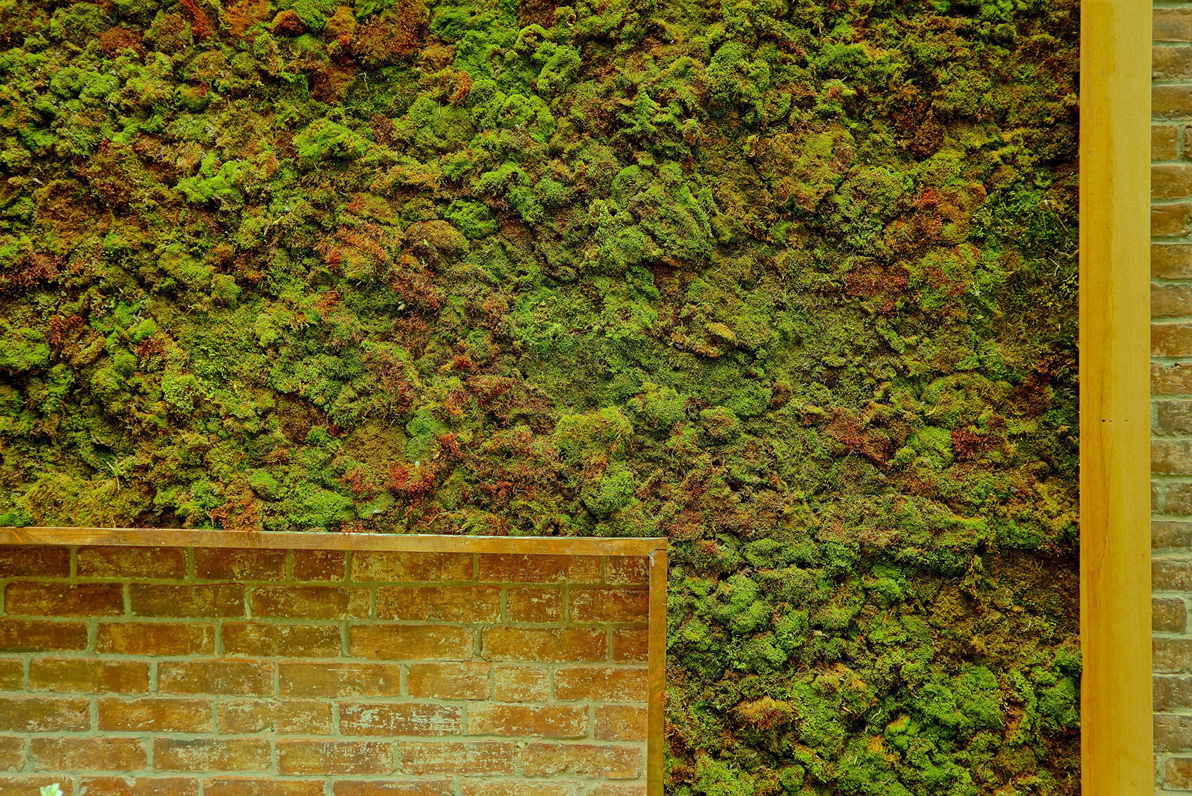 Boston Moss Wall