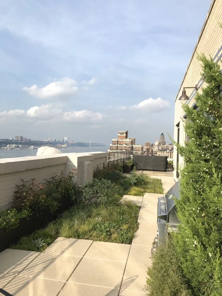 Image showcasing Benefits of Green Roof Amenity Spaces — Urbanstrong