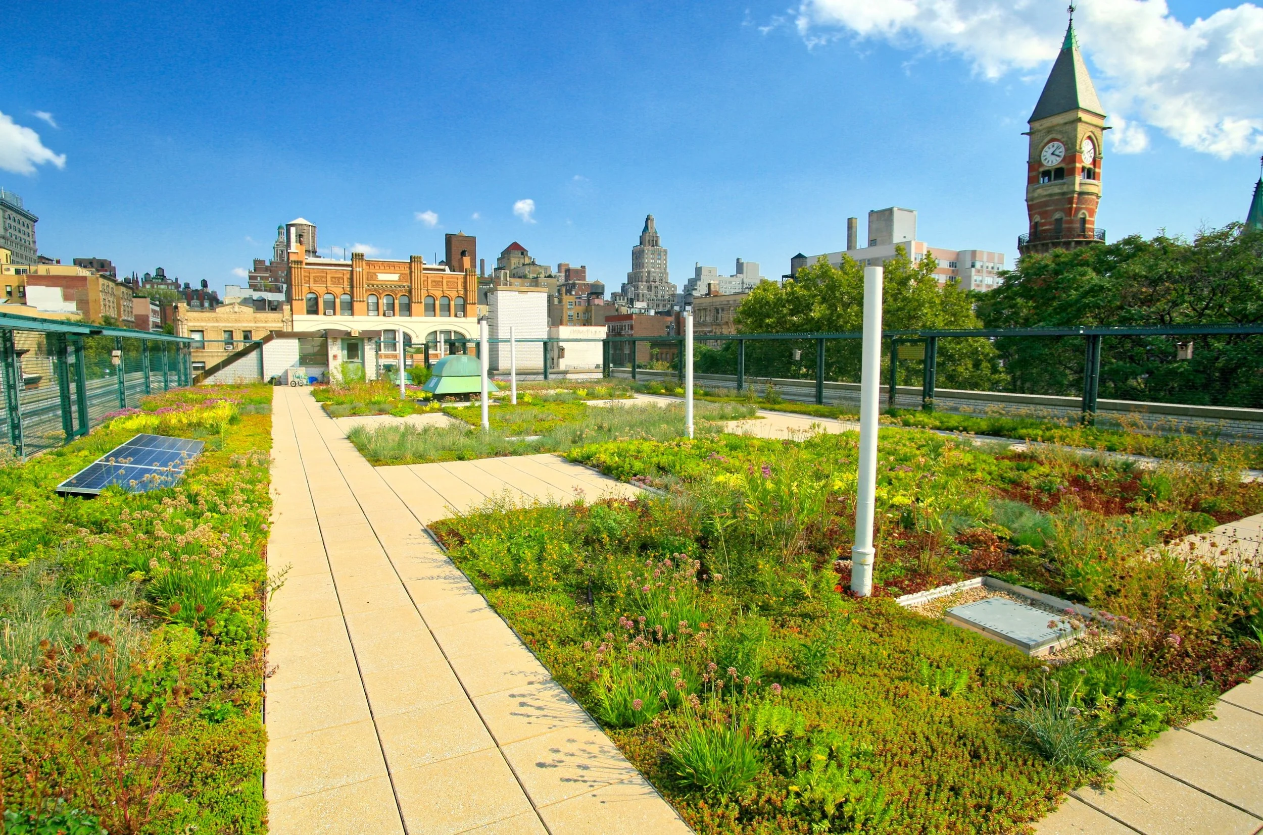 Educational Rooftop Why Green Roofs on Schools Make Sense | Educational & Environmental ...