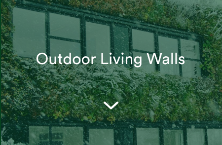Green urban decor: jardinera en exterior. - Materia Viva S.A. de C.V. -  Calidad y Experiencia Garantizada.