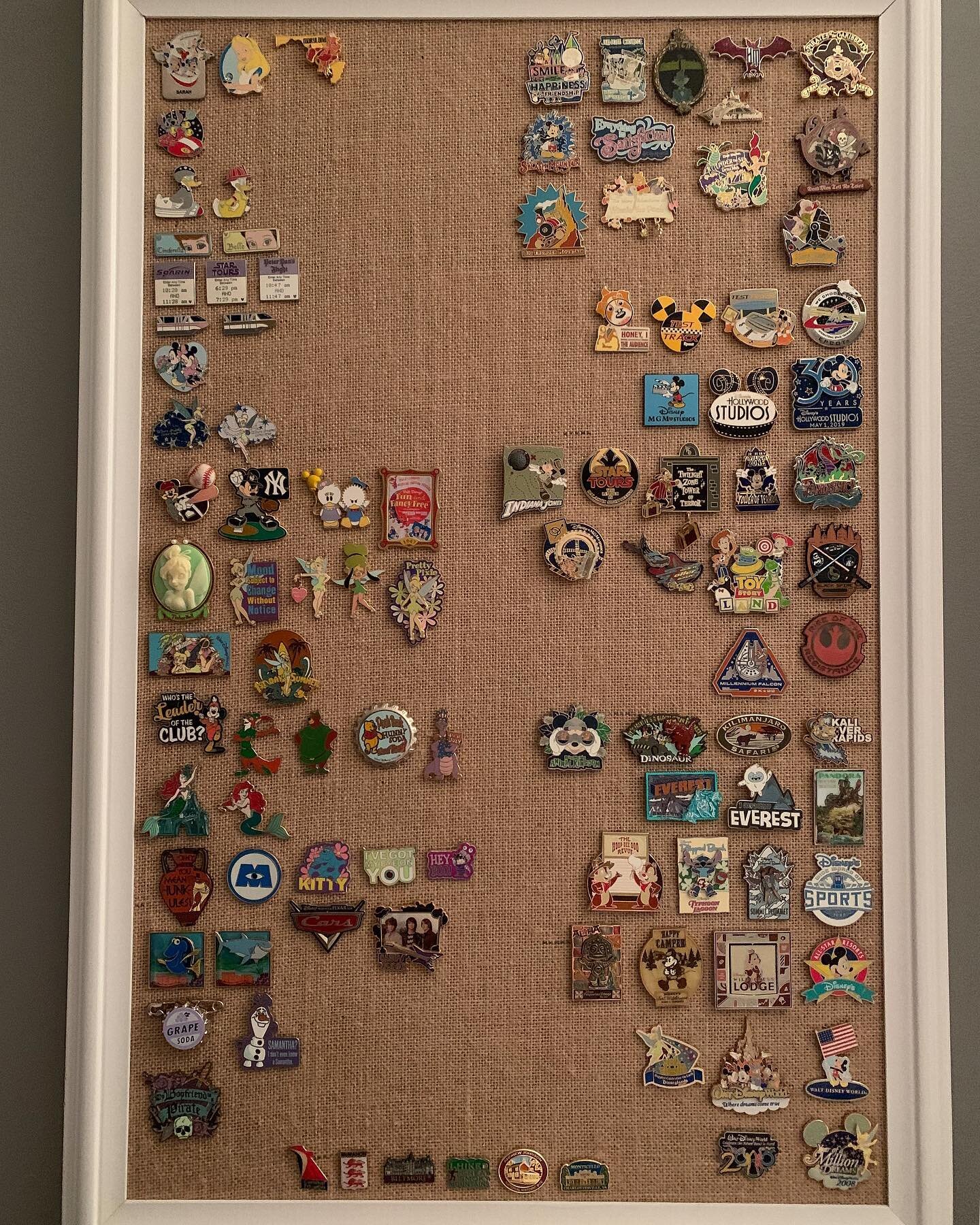 Some people buy t-shirts or mugs to commemorate vacations; I collect pins. 

The vast majority of this is my Disney pin collection. Pin collecting and trading is huge at the Disney parks. And although my 77 pins are shown alongside 17 of my brother&r