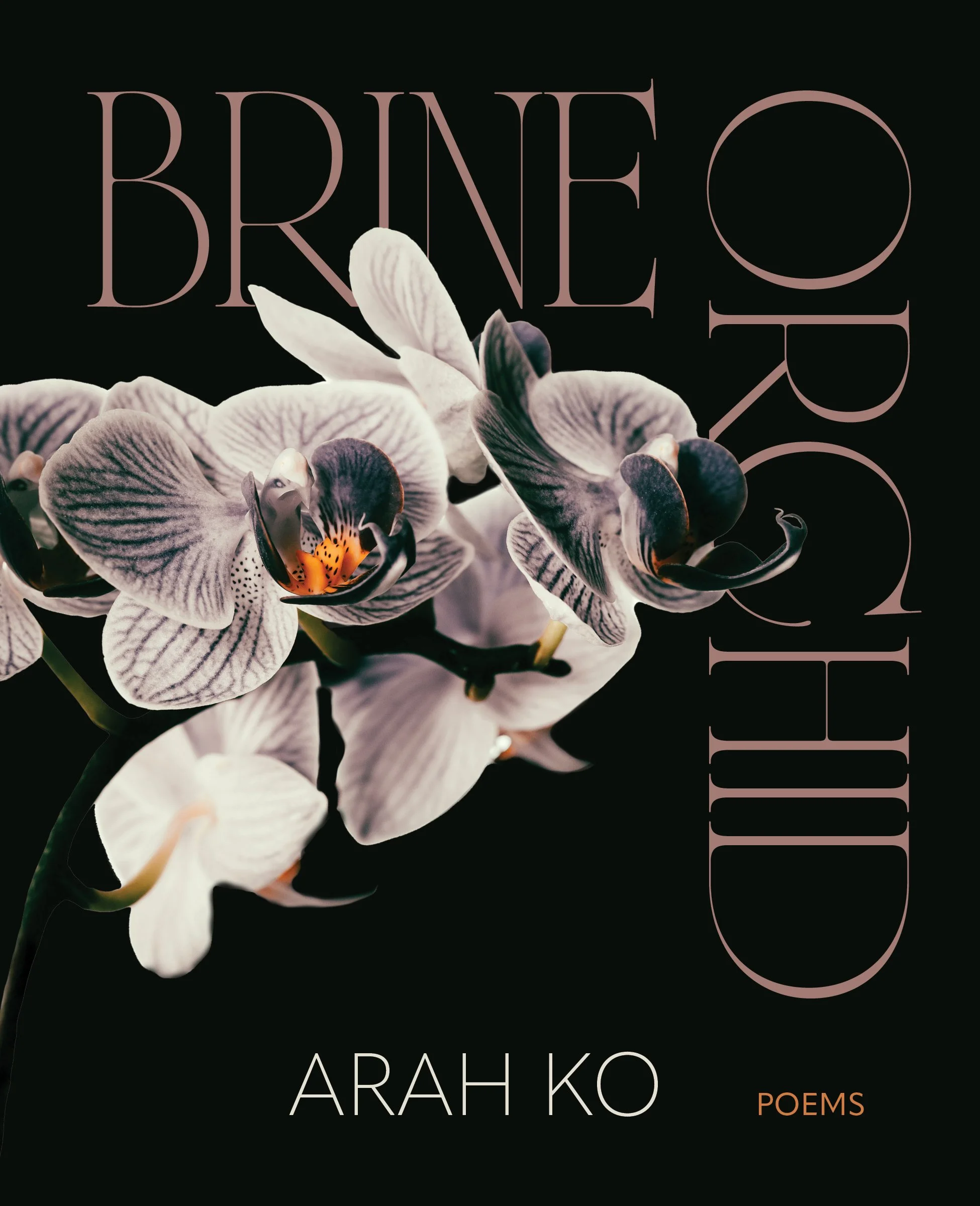 BrineOrchid-frontcover.jpeg