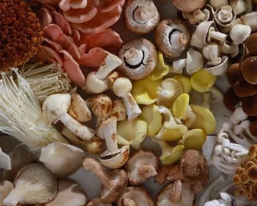 Unity Table Chef's Dinner: The Essential Fall Meal