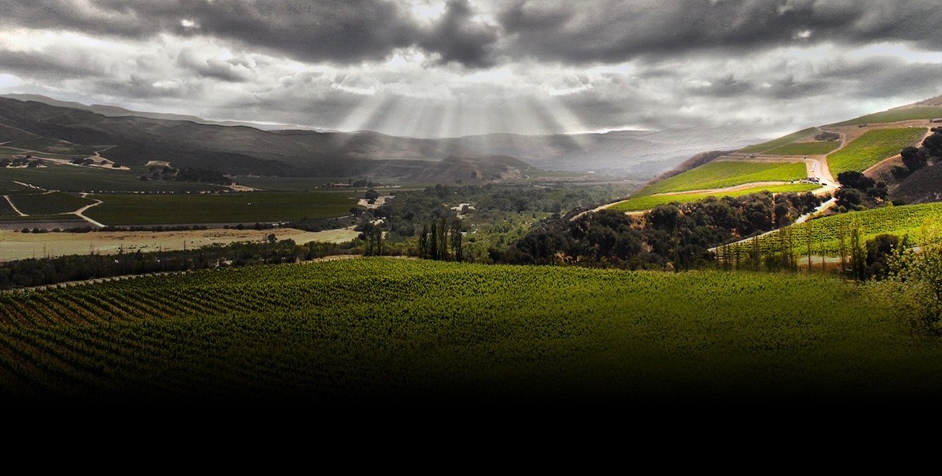 Saturday Wine Tastings at Unity Table: Sta. Rita Hills: Daniel’s Journey in California