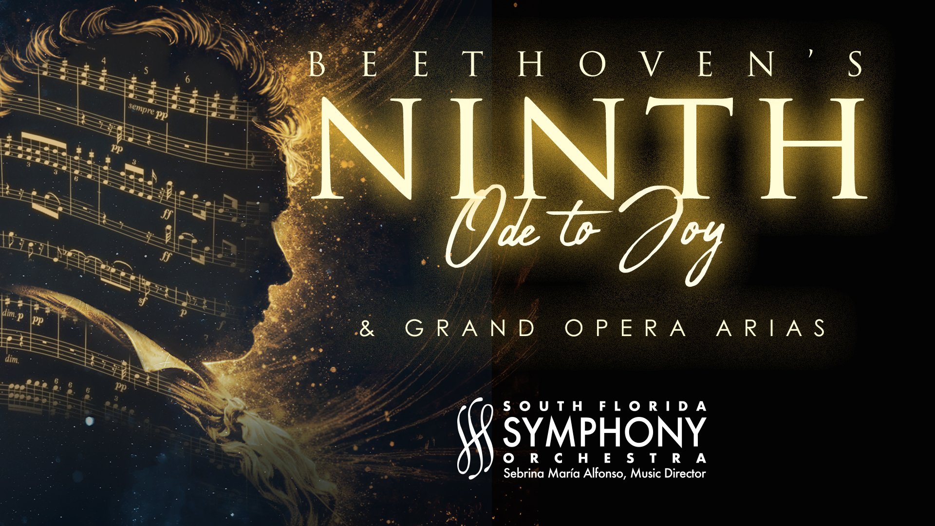 Full view of the South Florida Symphony Orchestra performing on stage in a concert hall.