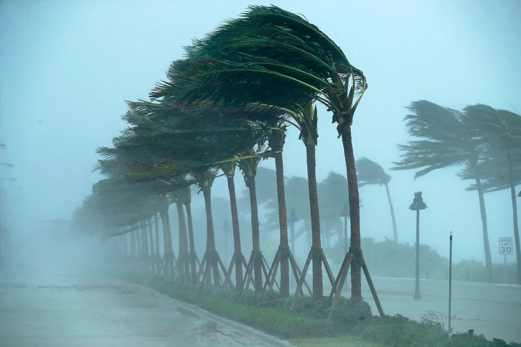 No Power, No Problem: Hurricane Life in the Keys