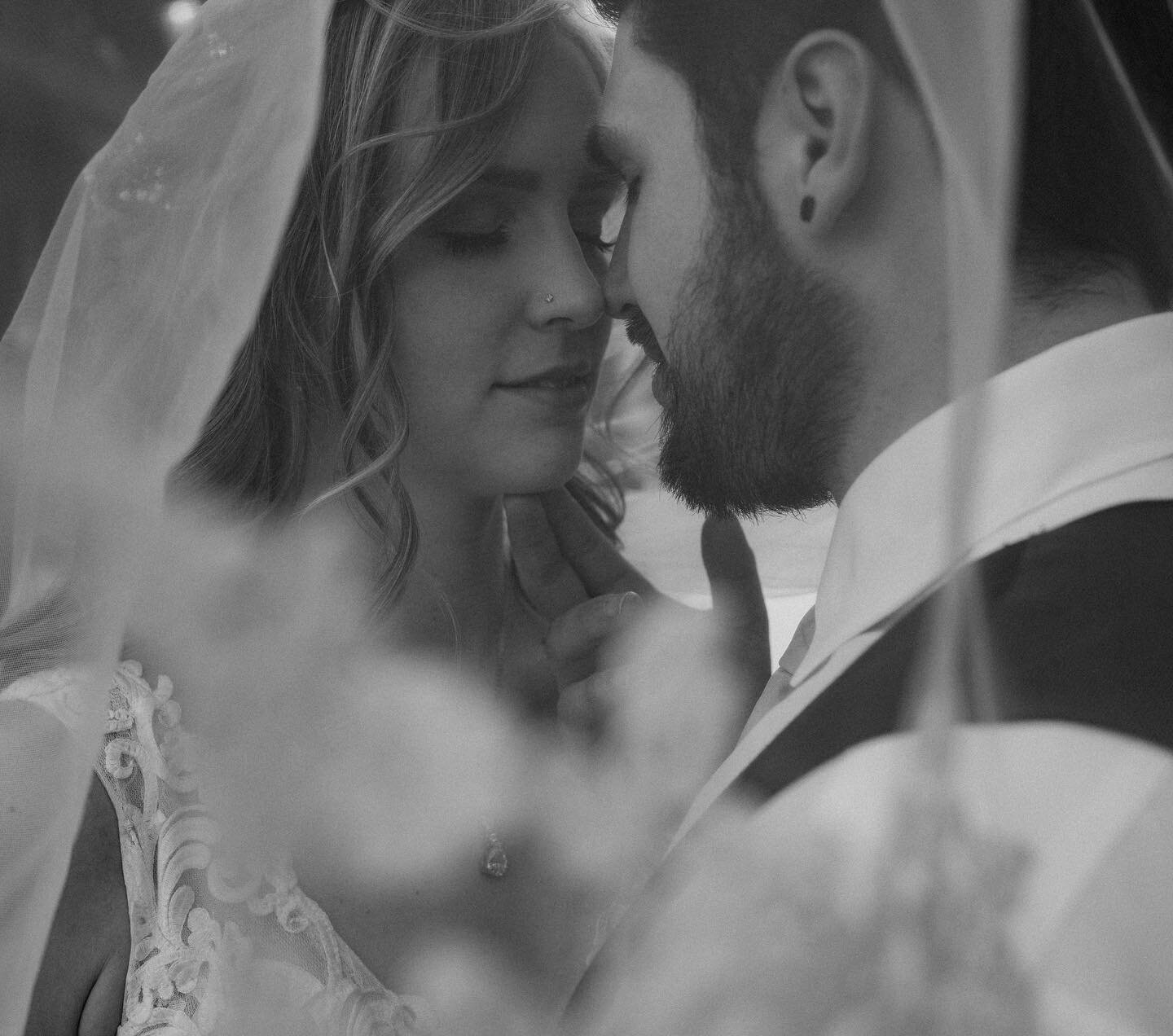 Story telling in black and white. 

This day was magical. Josh and T&eacute;a tied the knot on Saturday surrounded by their wonderful family and friends. 

They prioritized private time twice throughout the day. The first was 10 minutes to themselves