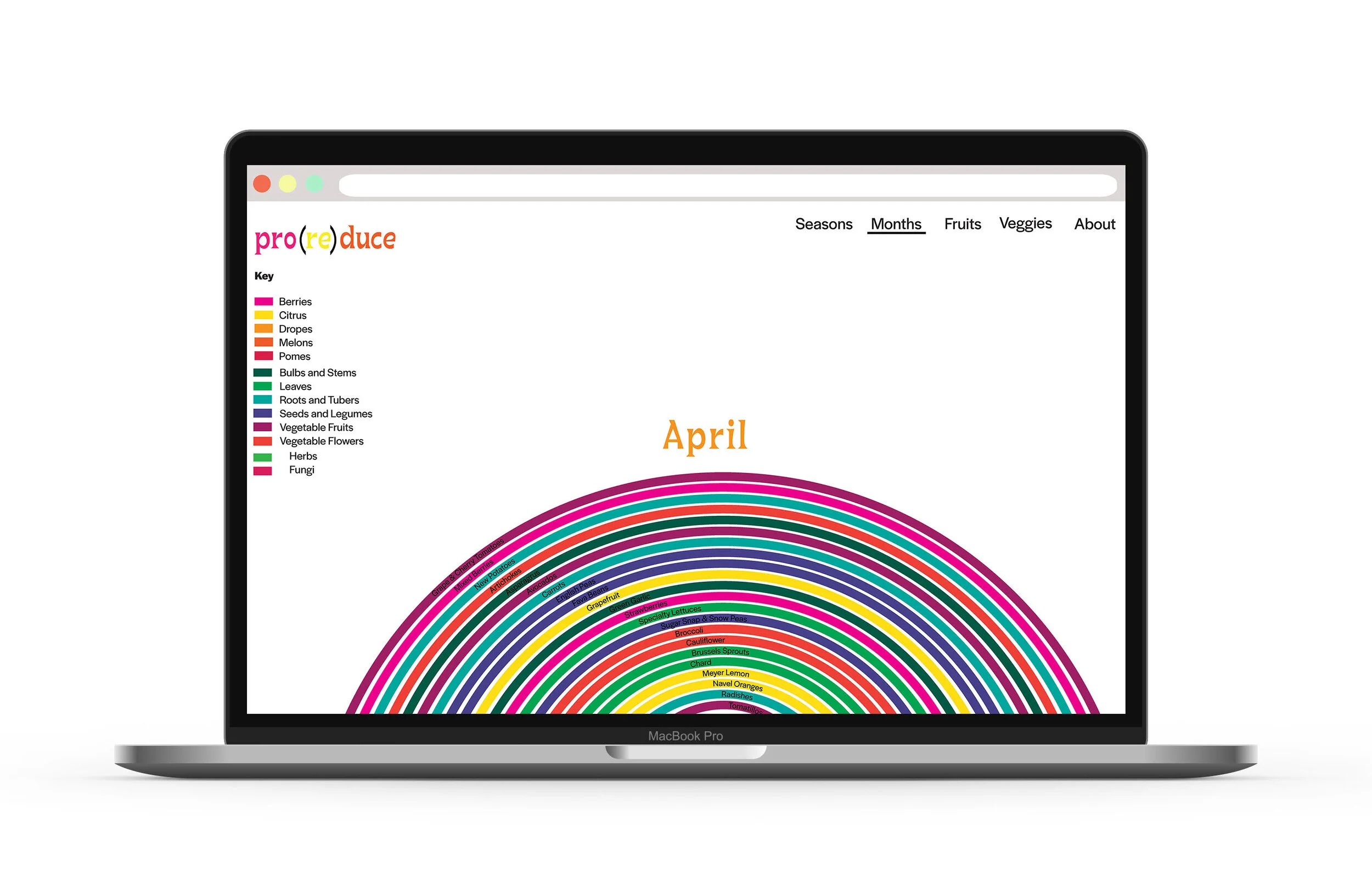 Rachel Bender Visual Language_Page_7.jpg