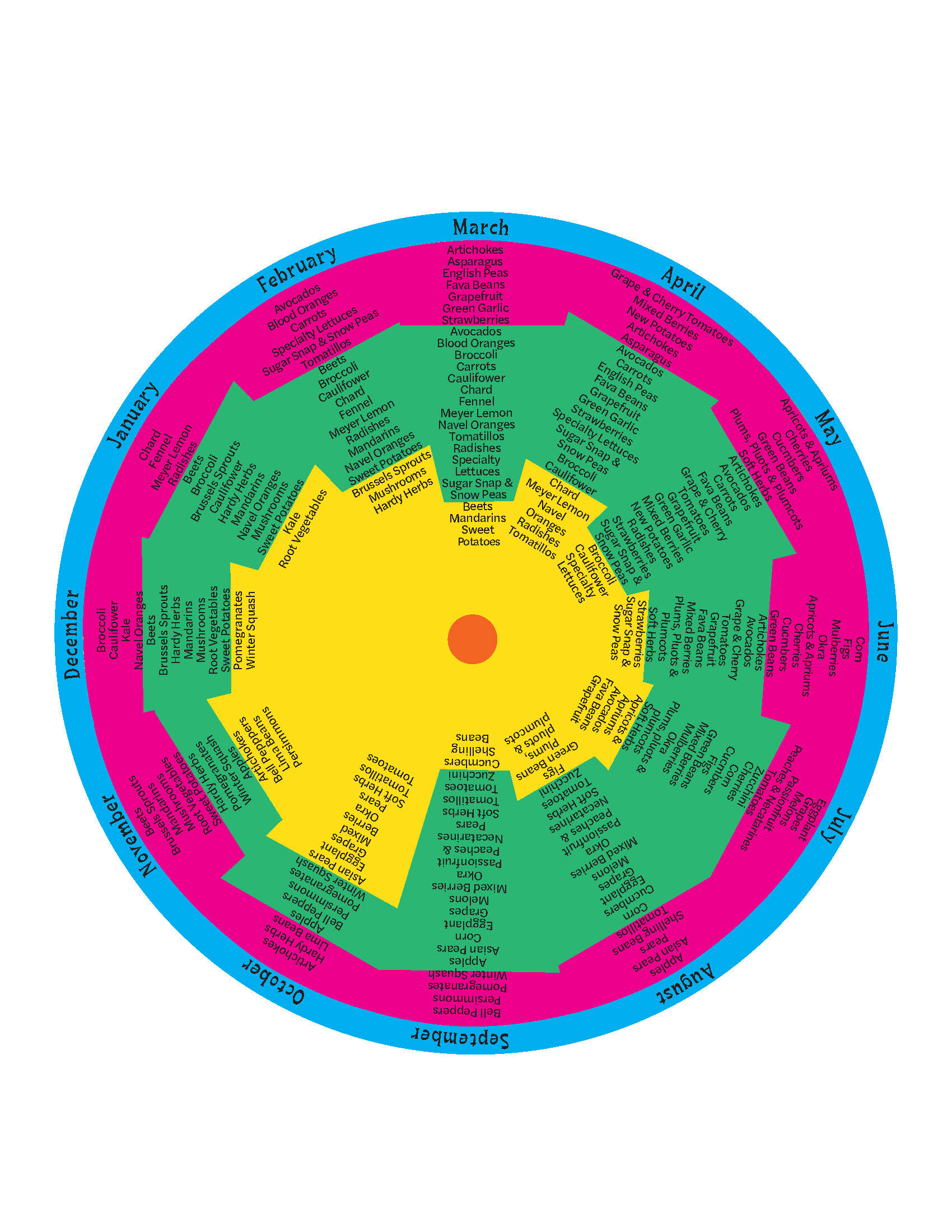 Rachel Bender Visual Language_Page_5.jpg