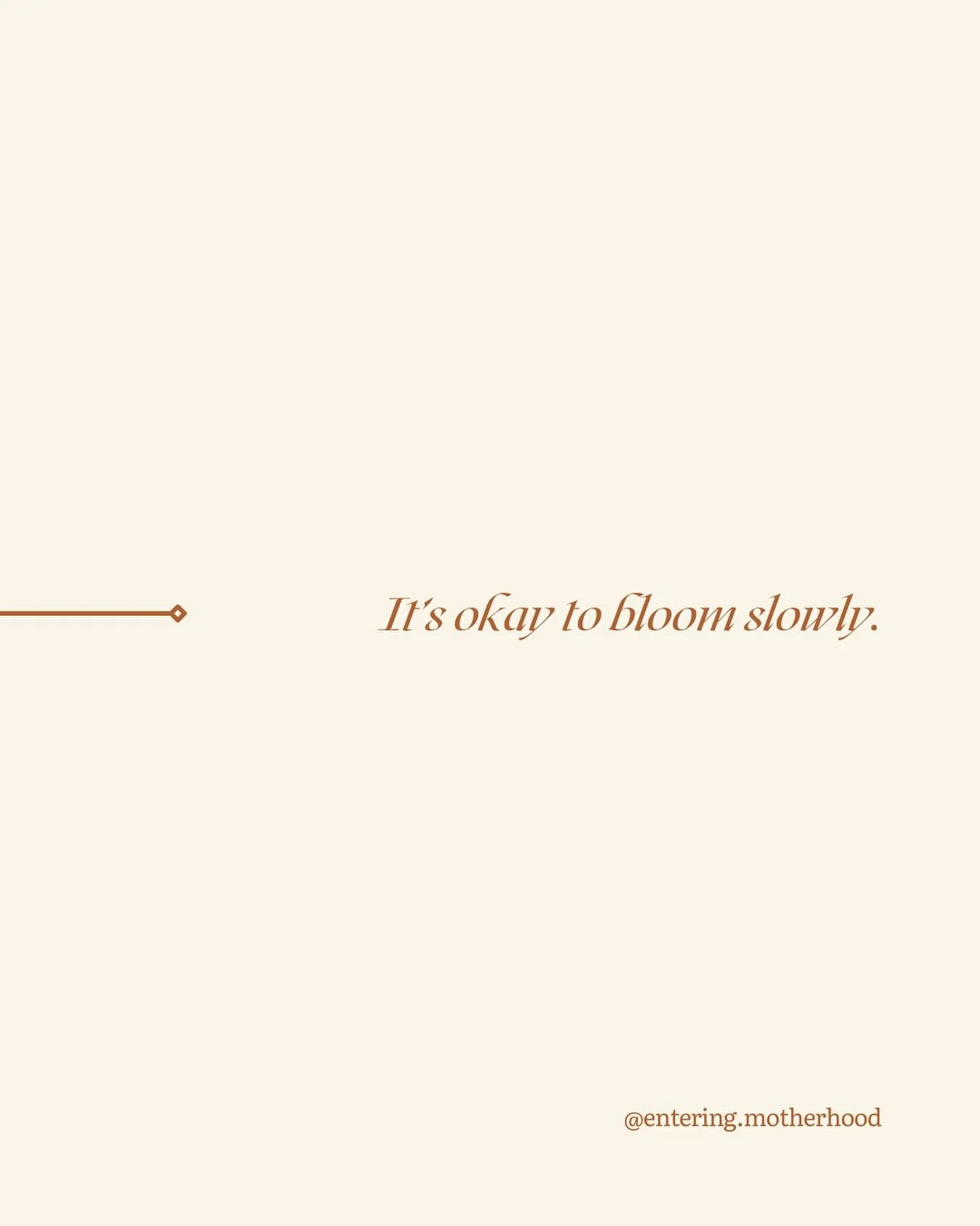 No two journeys through pregnancy or postpartum look alike. Your body, your emotions, and your timeline are uniquely yours. You&rsquo;re allowed to heal and grow at your own pace. Slow blooming is still blooming. 🌸

#SlowBloom #EnteringMotherhood #H