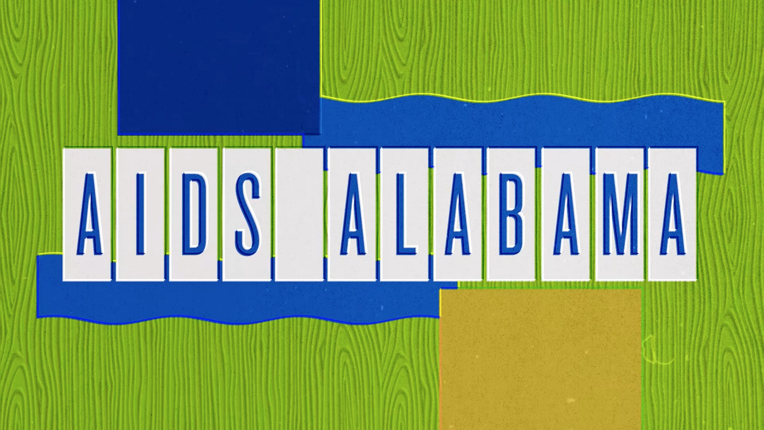 2020-Sidewalk Film Festival_Drive-In_Ali Clark_Big Birmingham_017.png