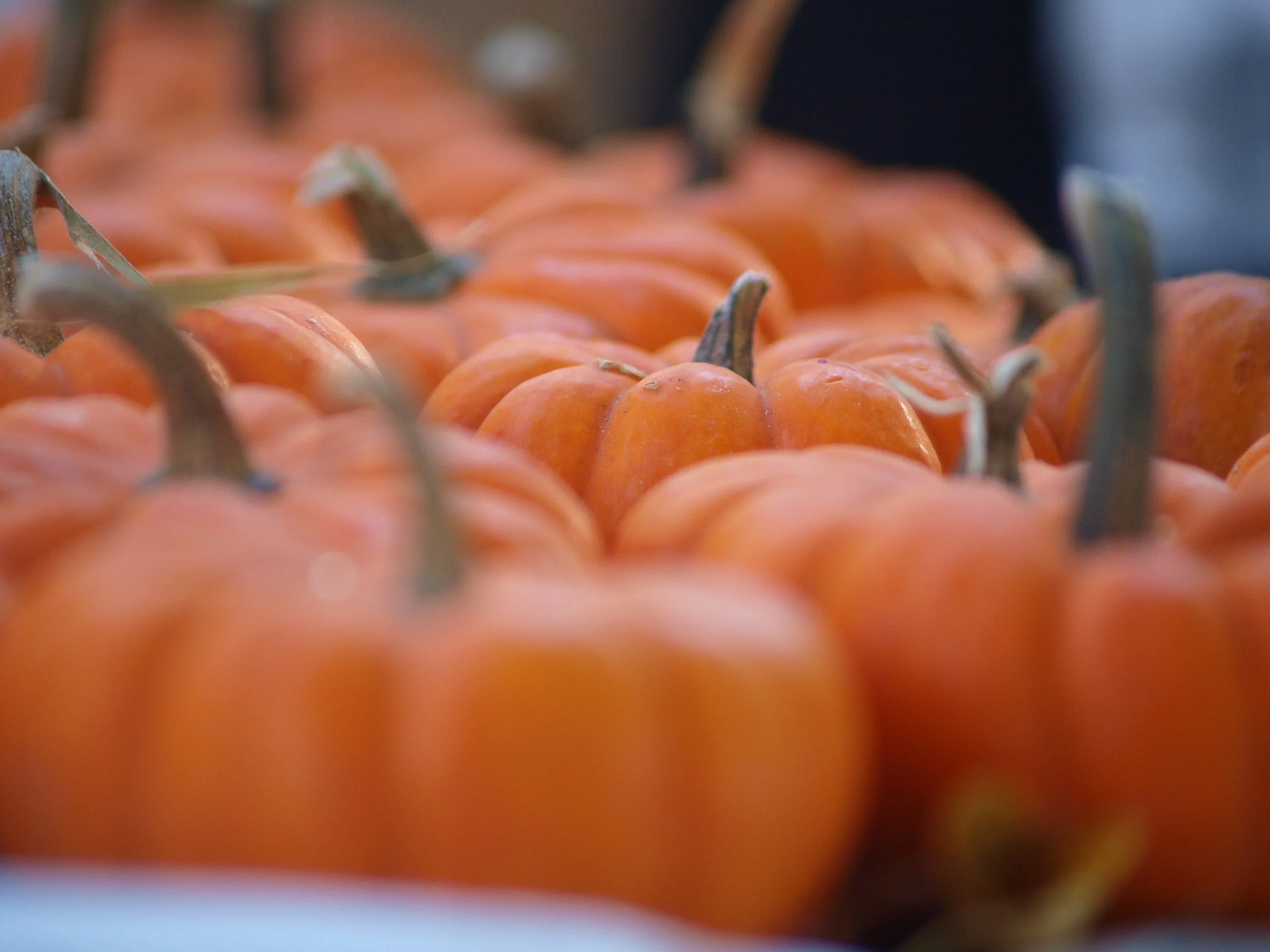 The Fall of the Patriarchy: A spooky feminist fair!