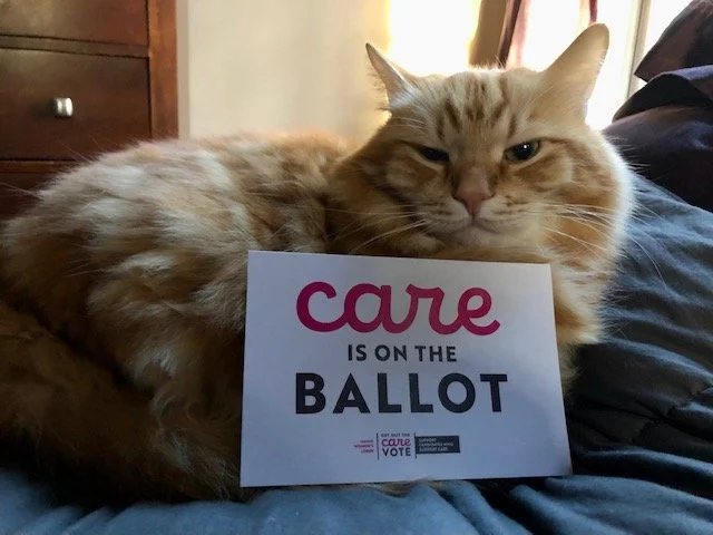 We turned out the care vote!