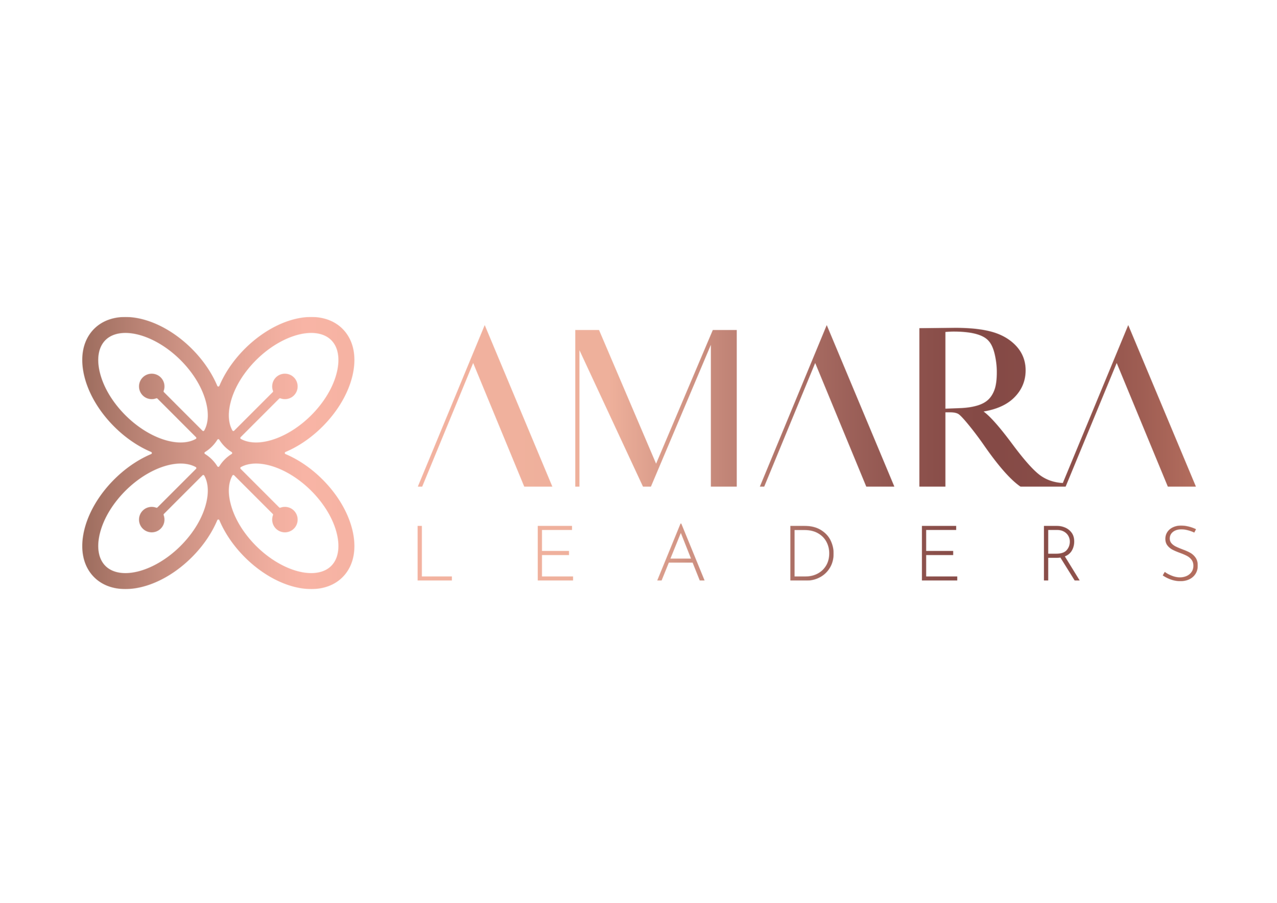 Amara Leaders