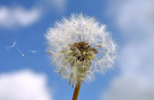 When Are Allergies a Medical Concern?