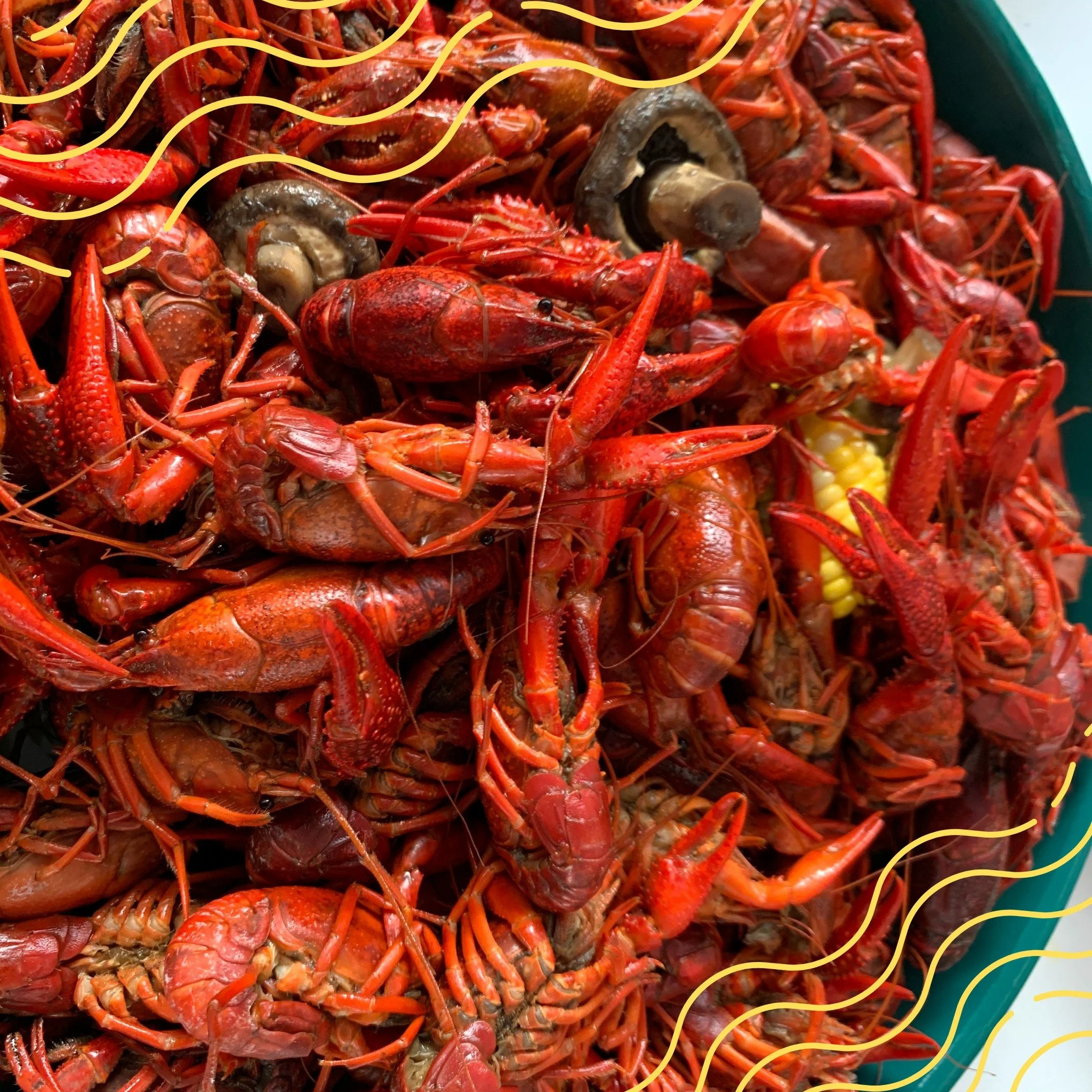 The biggest bugs of the season are here! 

Have a special event coming up? 

🦞 We love making your birthday, graduation, or corporate event memorable with our famous Louisiana-style crawfish boils. 

🦞 We are open for business on Saturdays and Sund