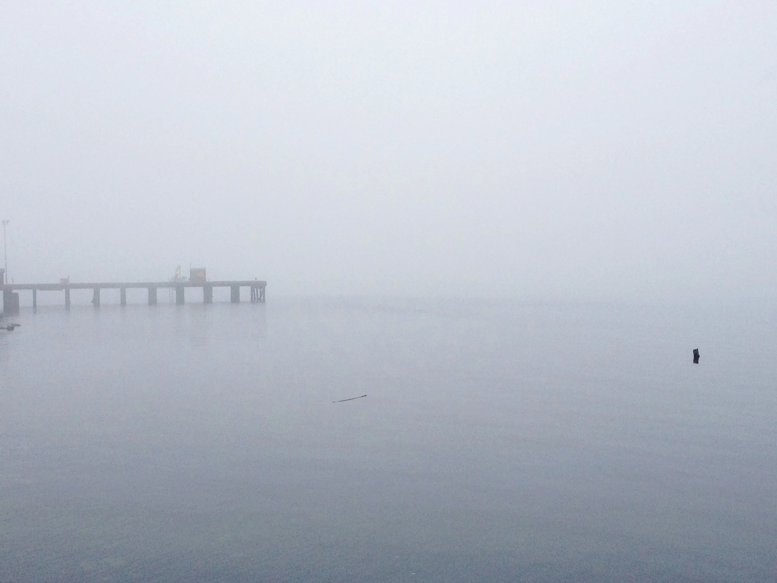 Jaclyn Joyce
Port Angeles, 2014 