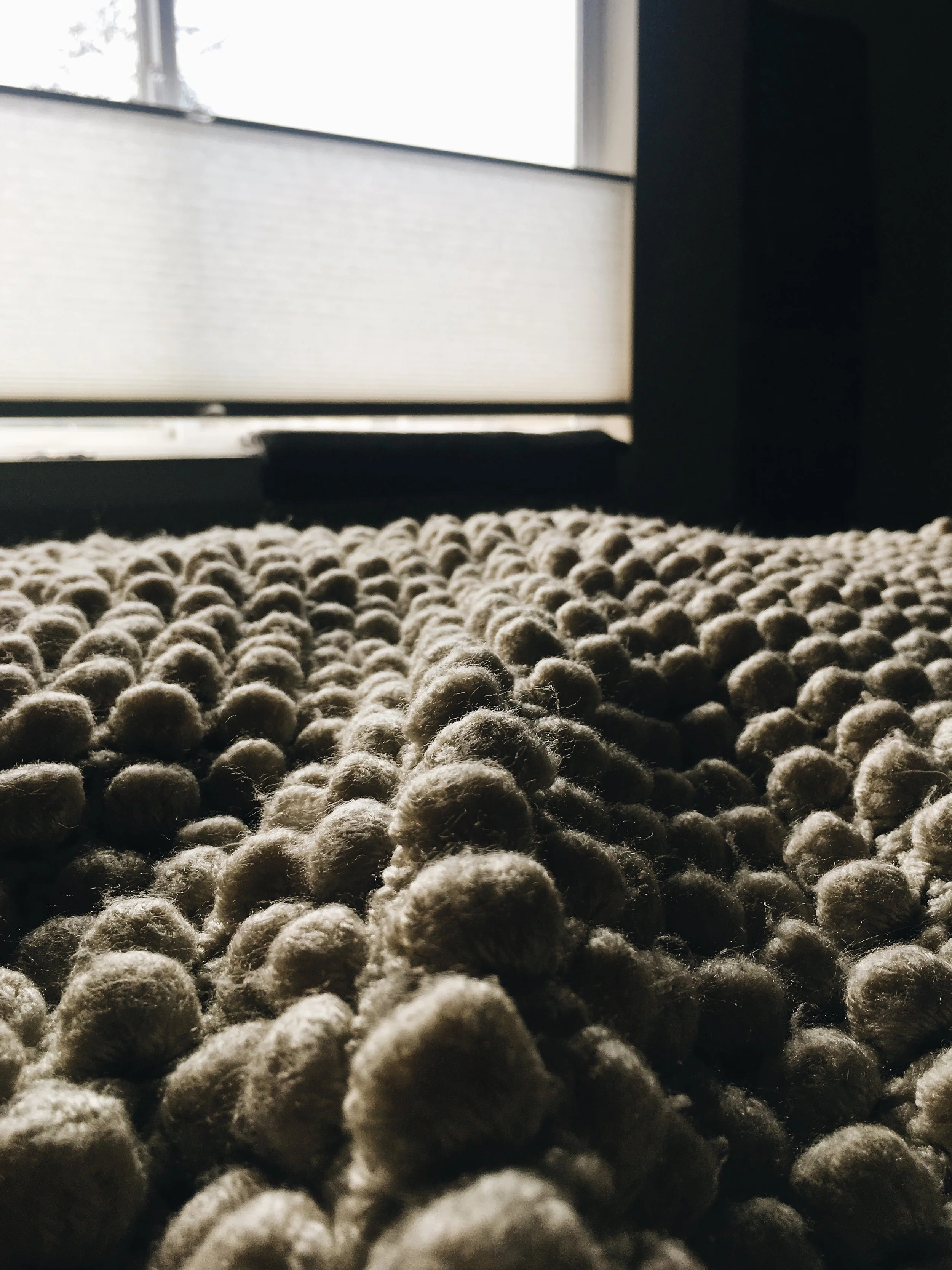 Jaclyn Joyce
Comfort of Issaquah, 2018