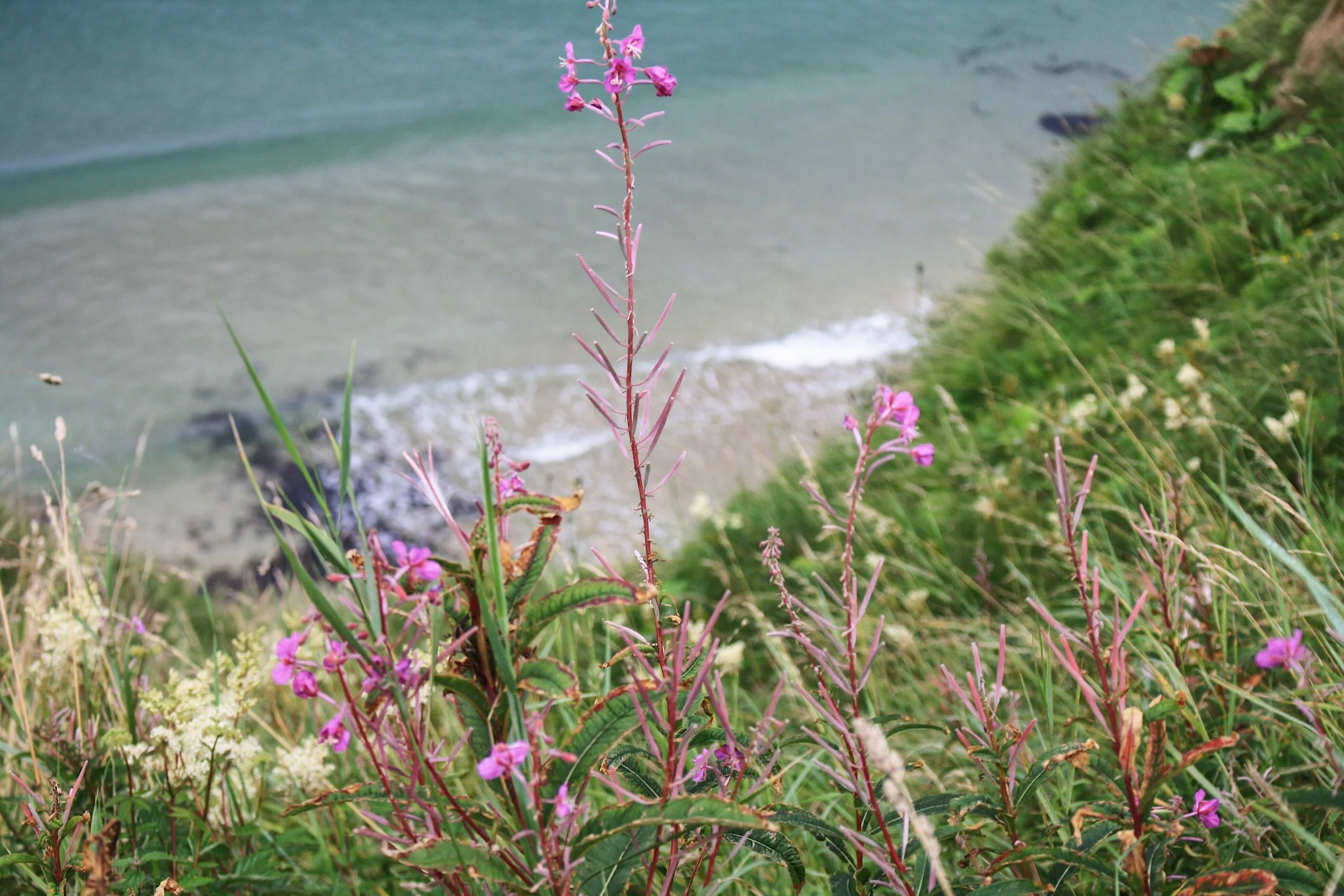 Jaclyn Joyce, 
Carrick-a-Rede Rope Bridge, 2017