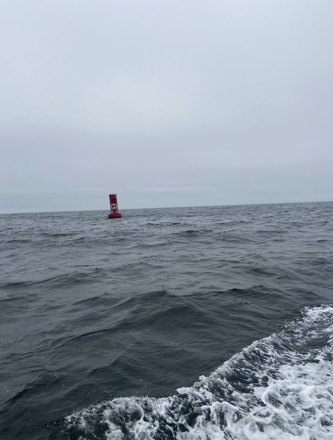 Jaclyn Joyce
Buoy, 2021