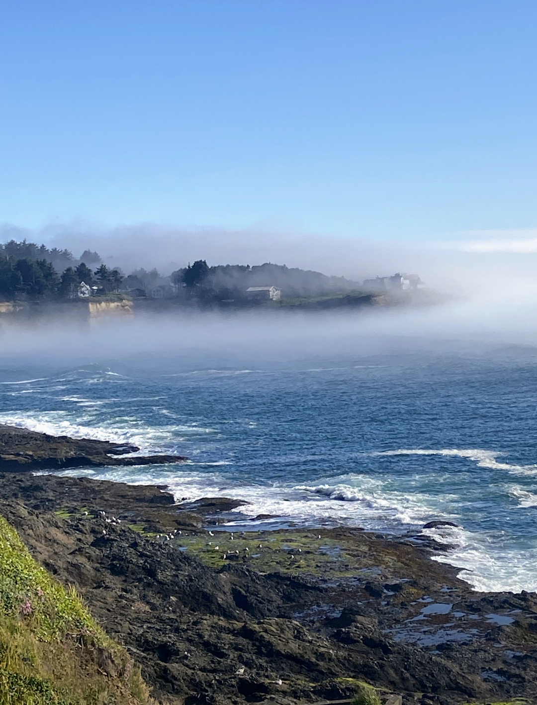 Jaclyn Joyce
Depot Bay, 2021