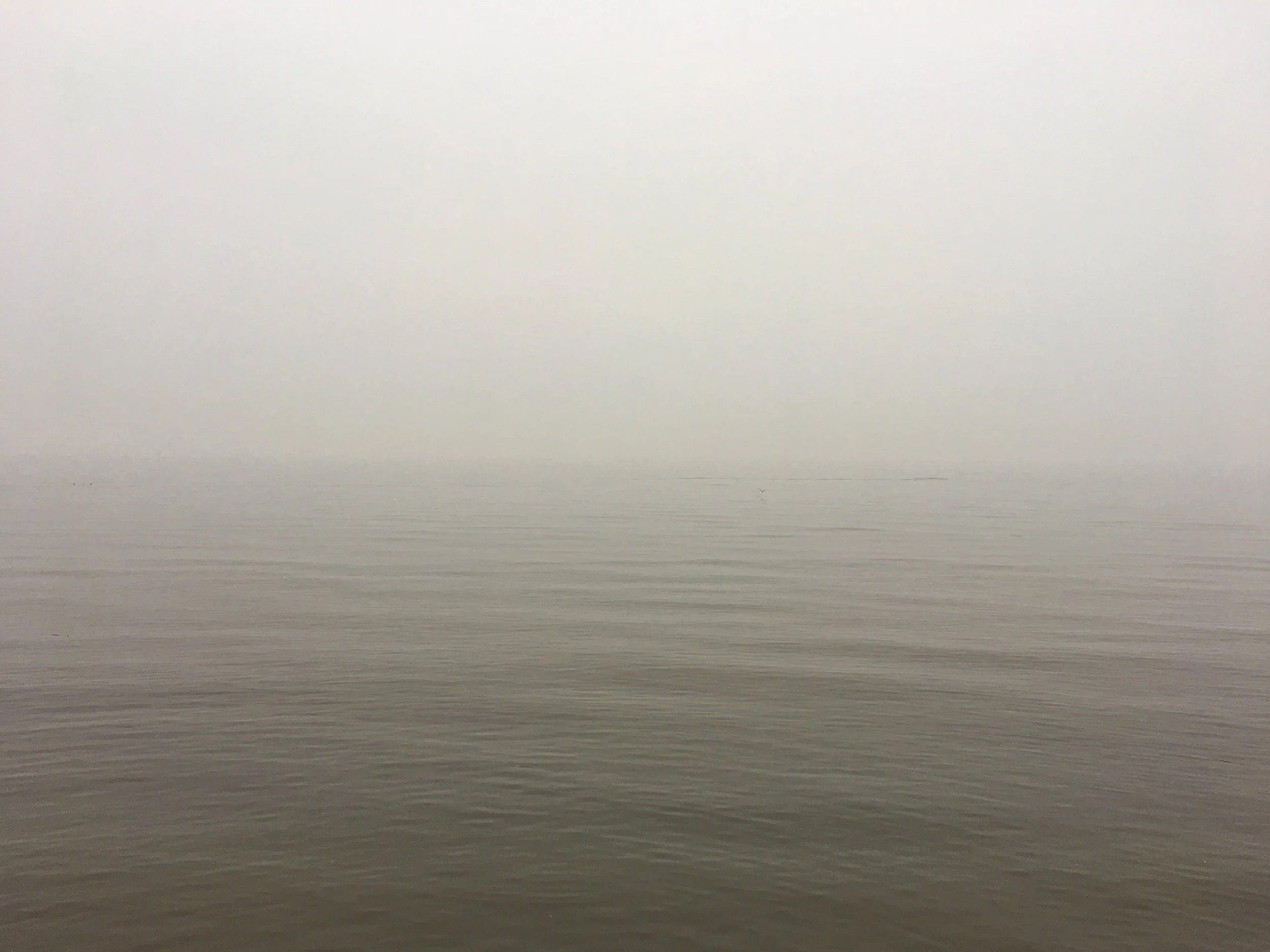 Jaclyn Joyce
Raritan Bay , 2021