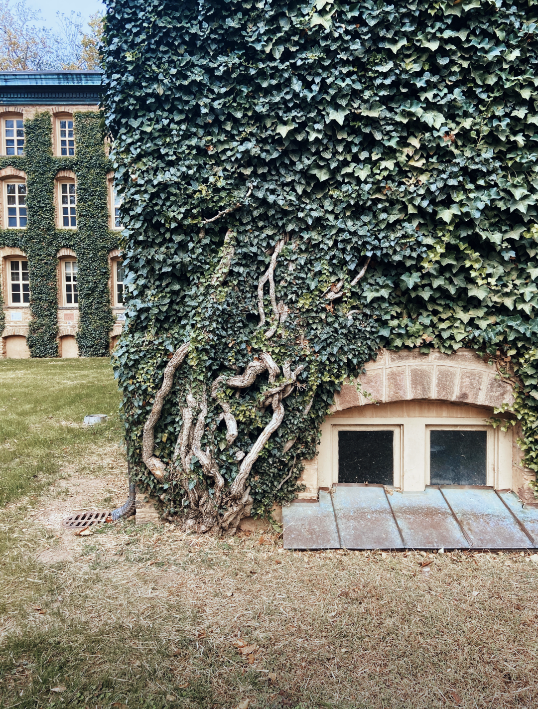 Jaclyn Joyce
Princeton, 2022