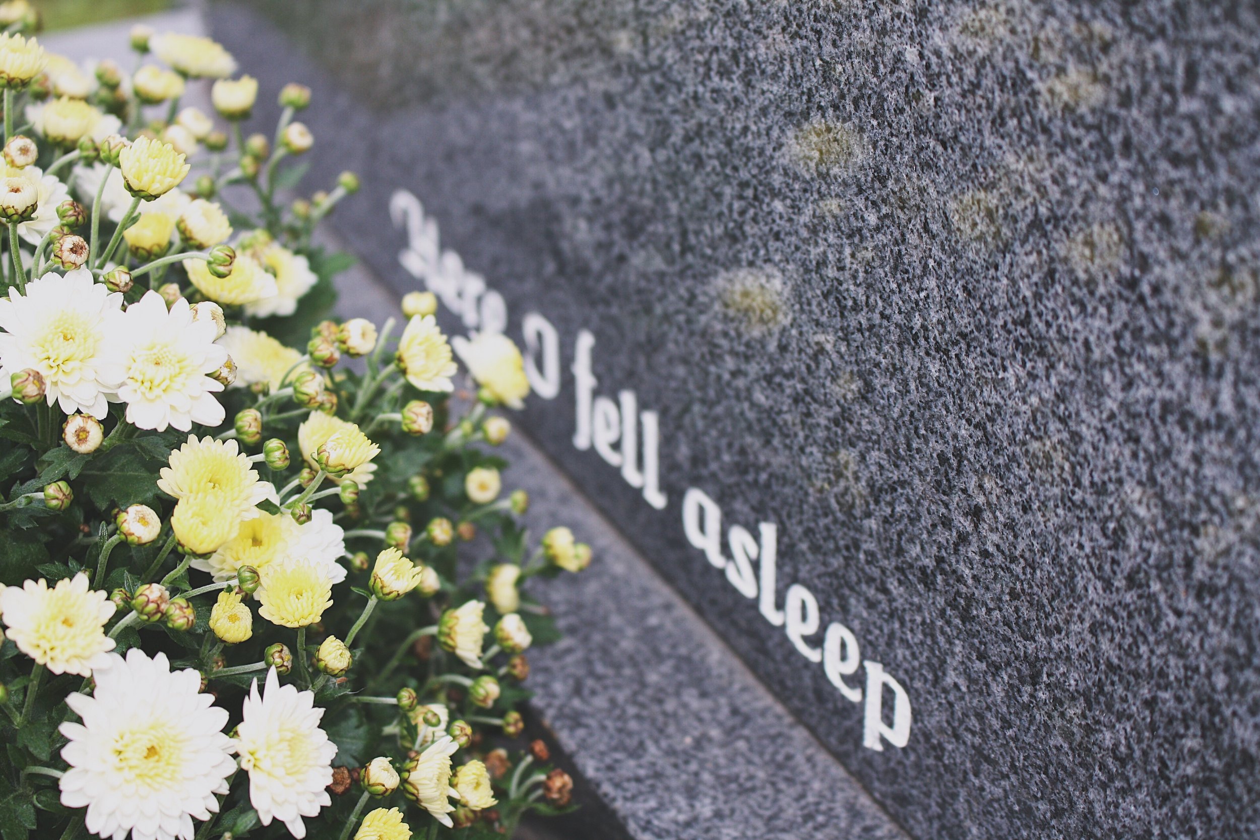 Jaclyn Joyce
Glasnevin Cemetery, 2017