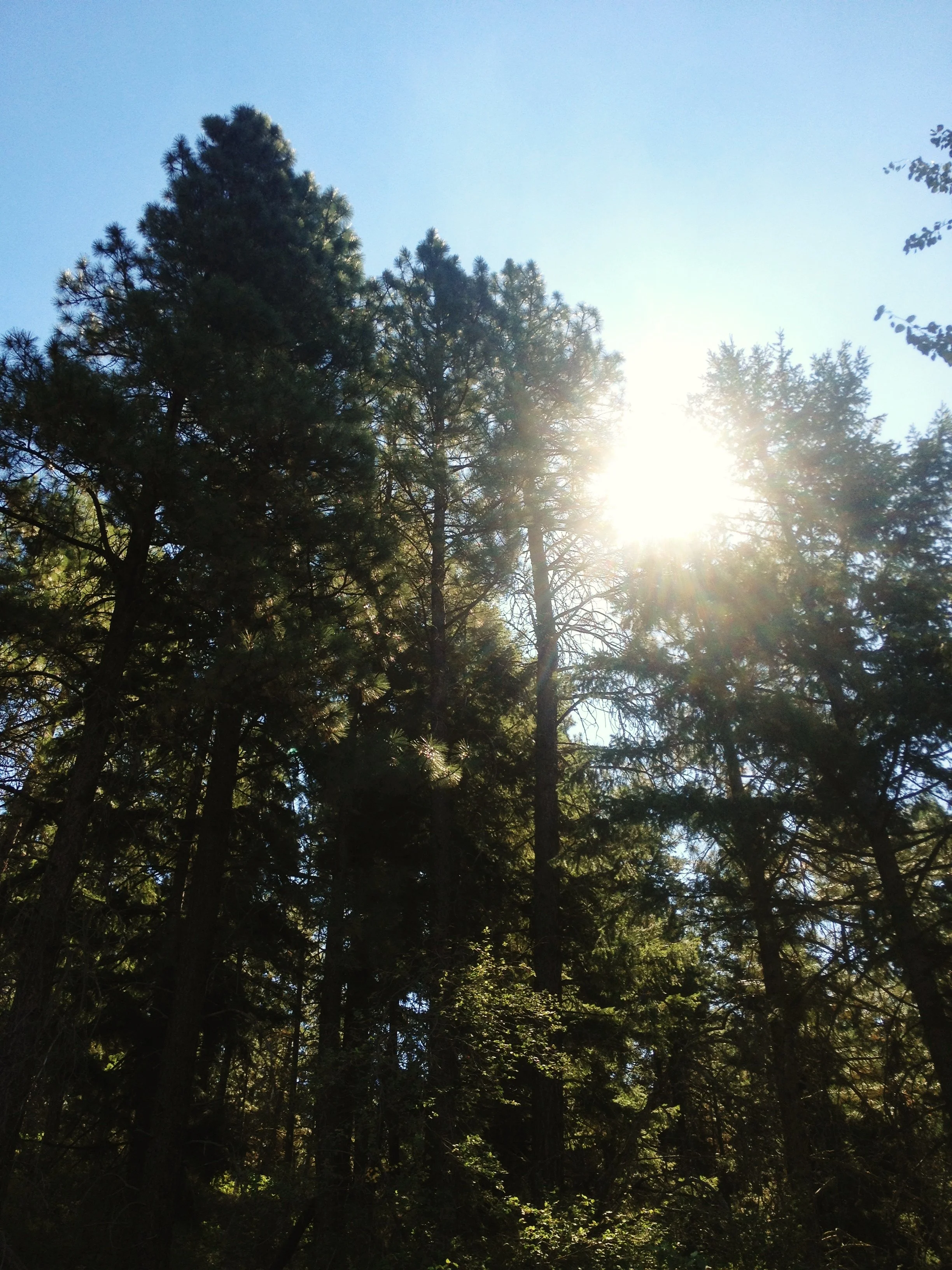 Jaclyn Joyce
Port Townsend, 2014